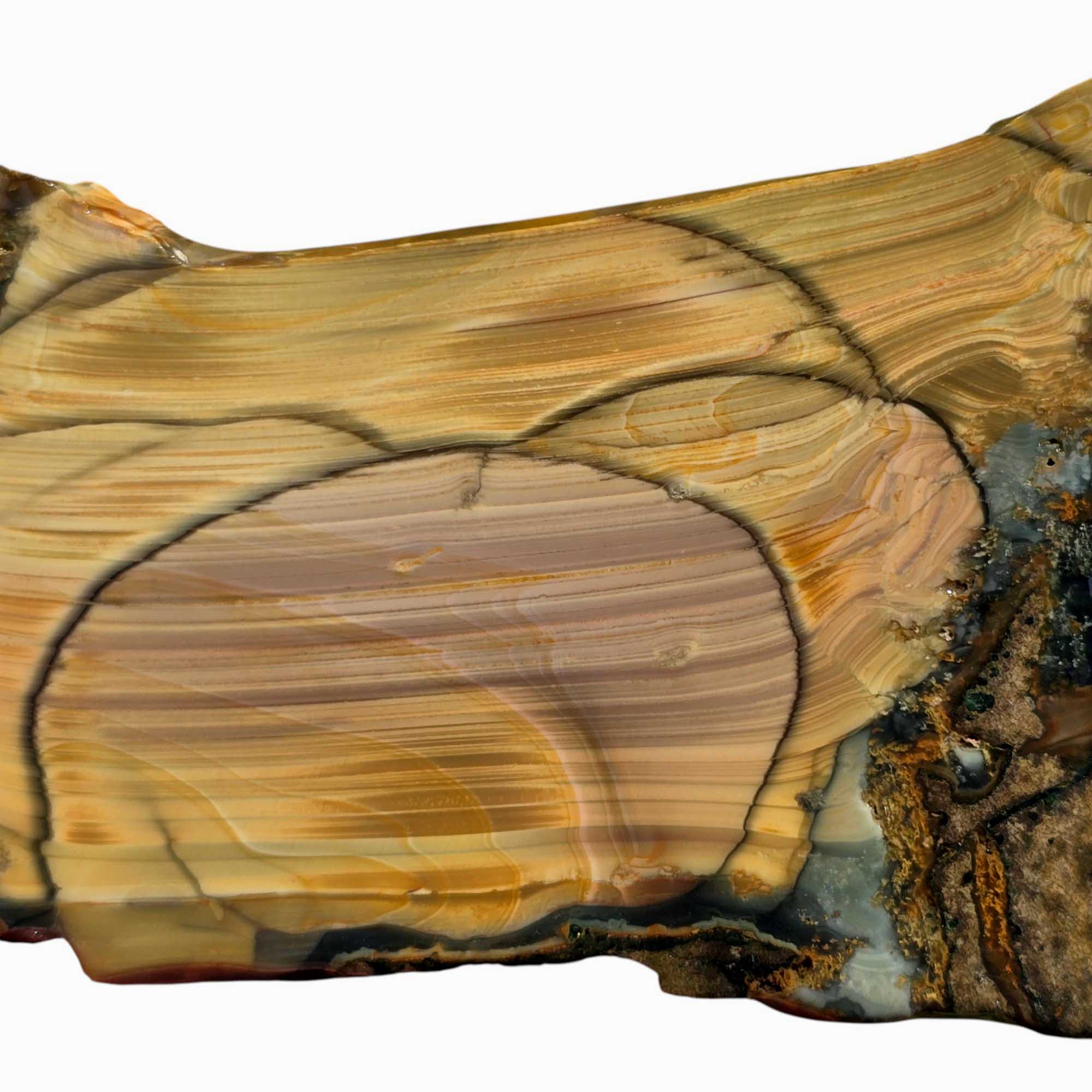 Blue Mountain Jasper Slab with Orbs & Paint Stroke Pattern – 5x3 Cut