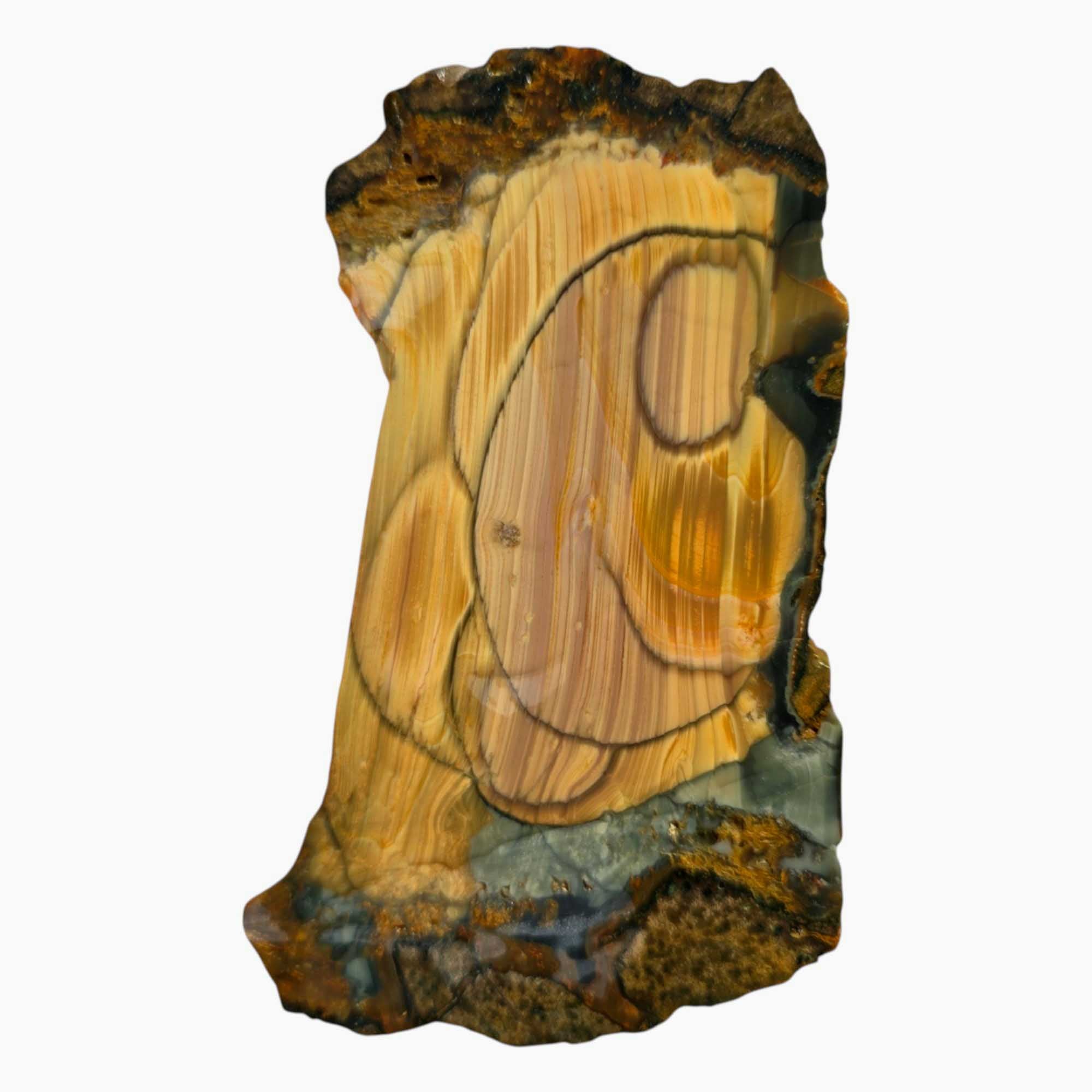 Blue Mountain Jasper Slab with Orbs & Paint Stroke Pattern – 5x3 Cut