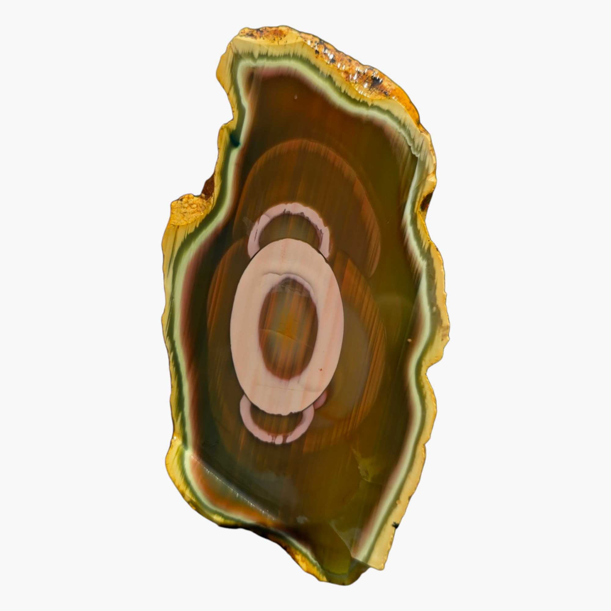 Translucent Royal Imperial Jasper Slab – Rare Backlit Orb Pattern