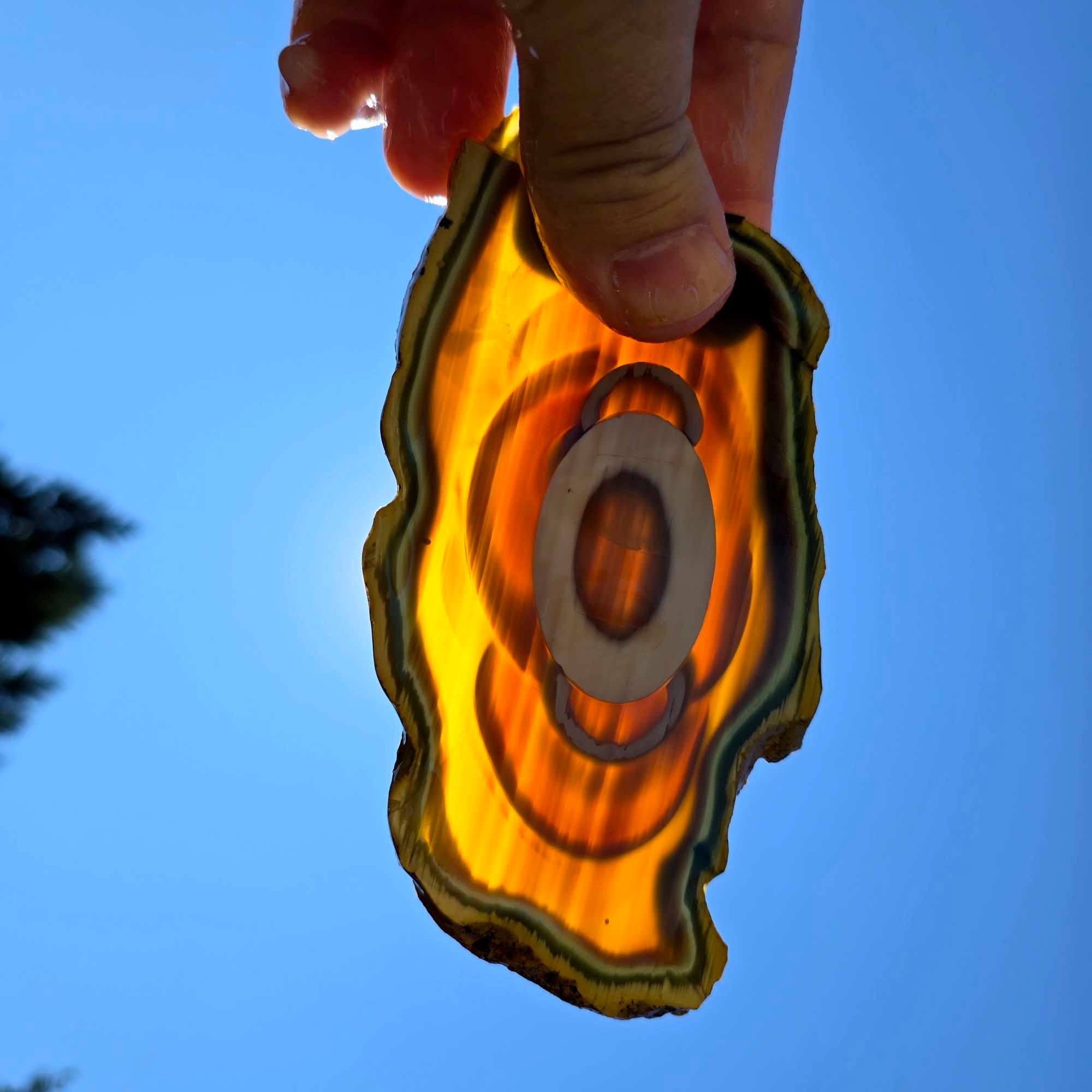 Translucent Royal Imperial Jasper Slab – Rare Backlit Orb Pattern