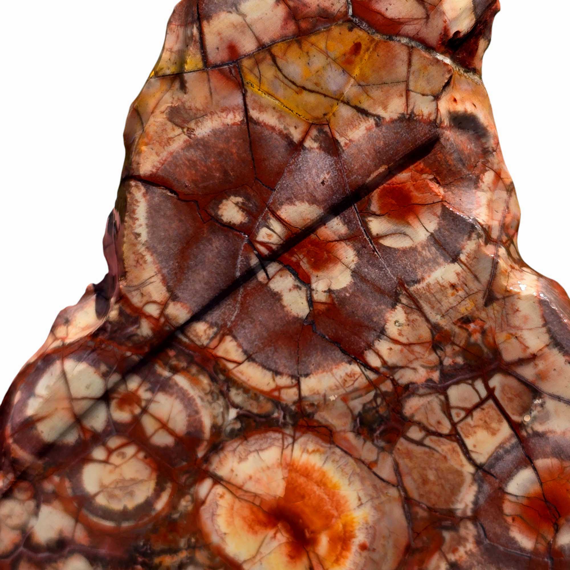 Old Stock Birdseye Rhyolite Slab – Triangular Cut with Pink & Purple Orbs