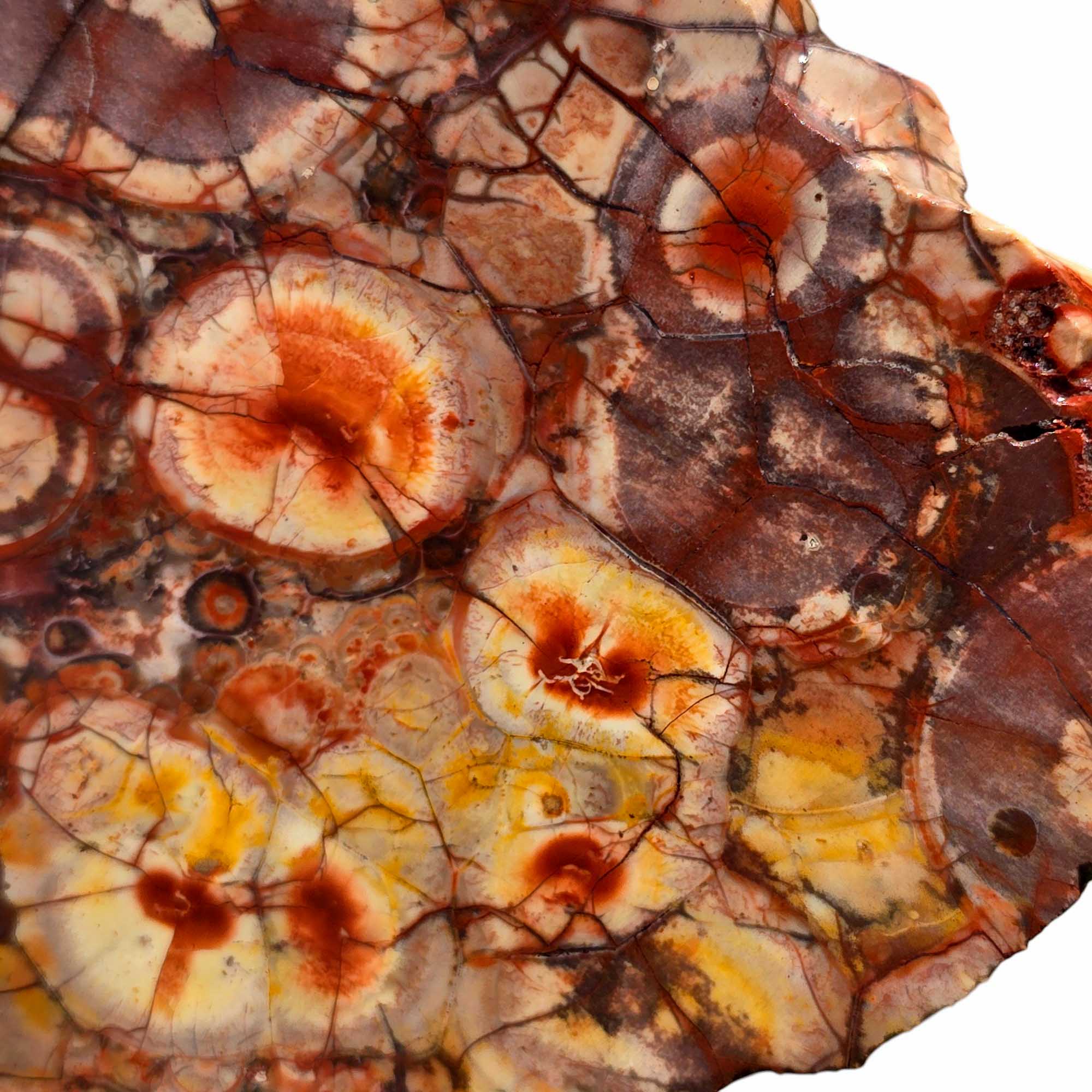 Old Stock Birdseye Rhyolite Slab – Triangular Cut with Pink & Purple Orbs