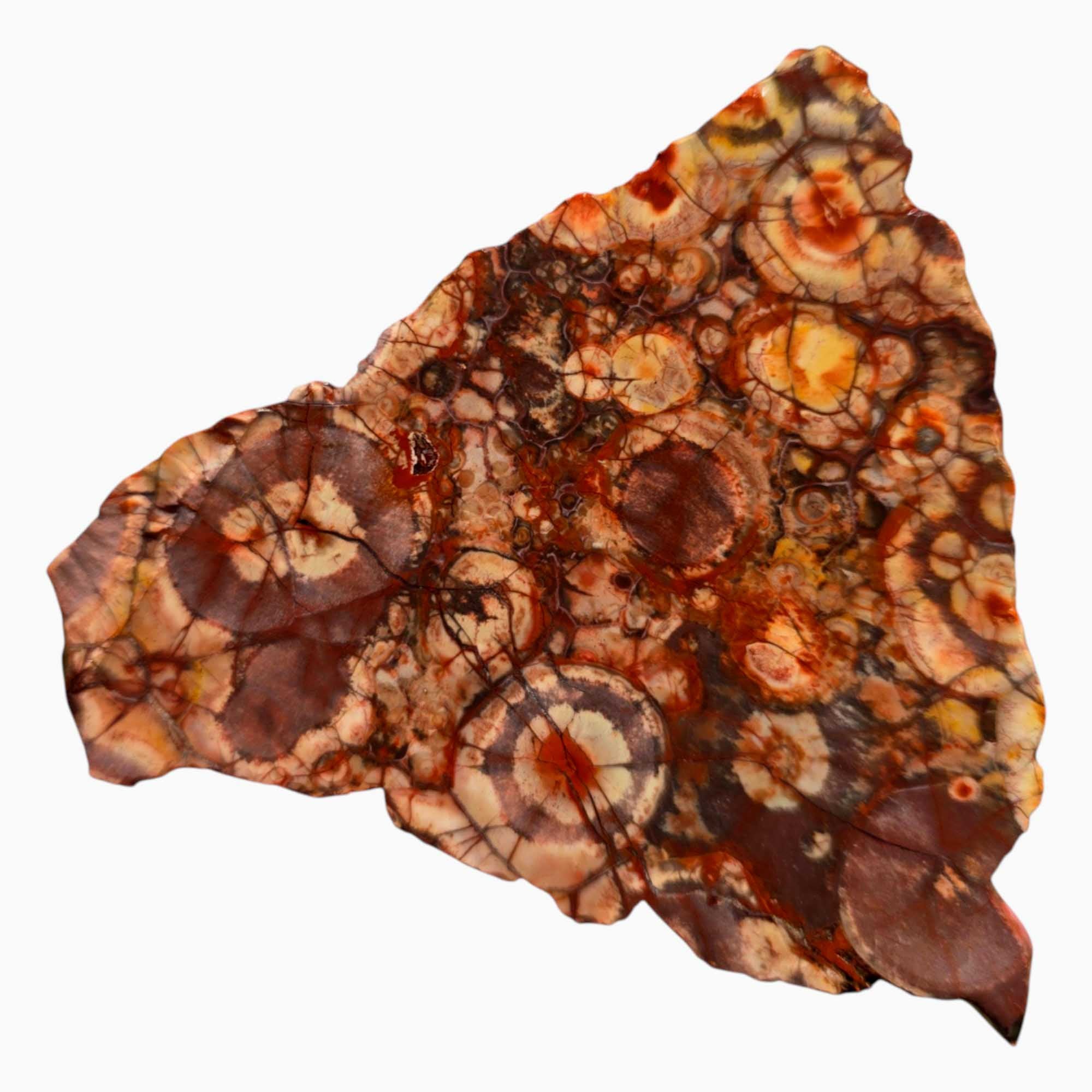 Old Stock Birdseye Rhyolite Slab – Triangular Cut with Pink & Purple Orbs