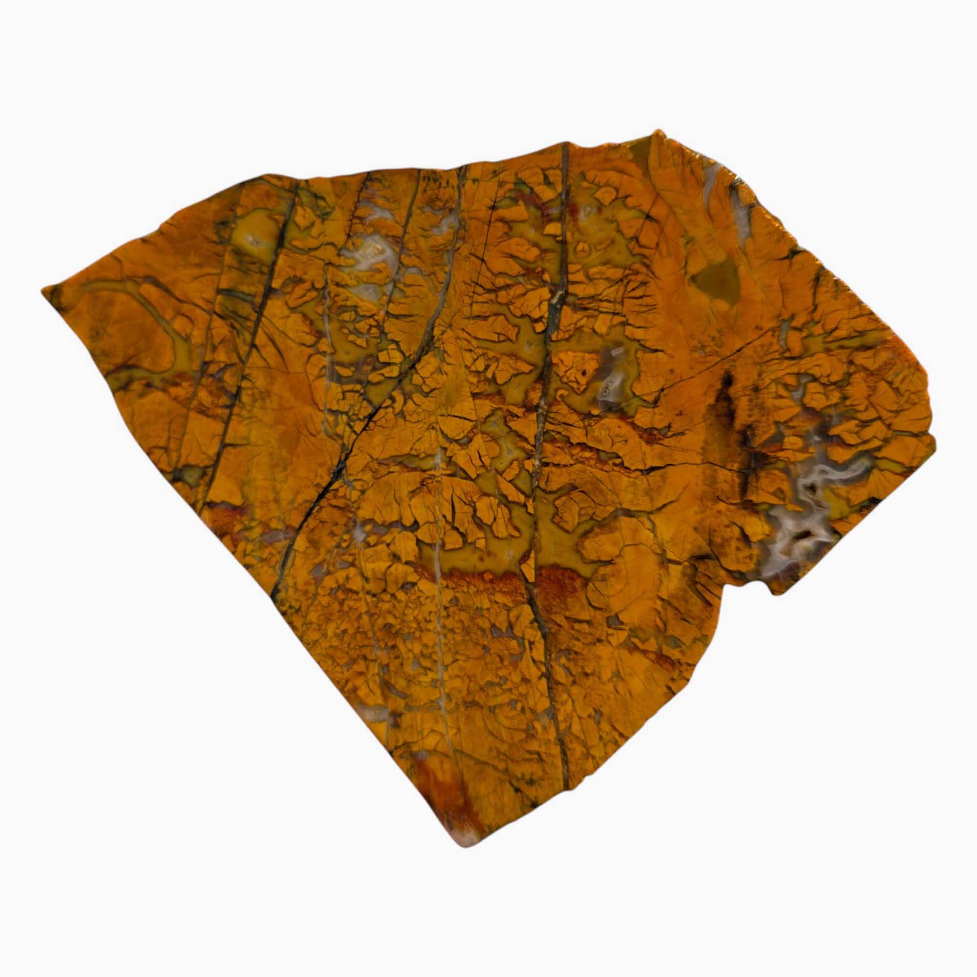 Stone Canyon Jasper Slab with Brecciated Fault Pattern – 4x3.6” Slice