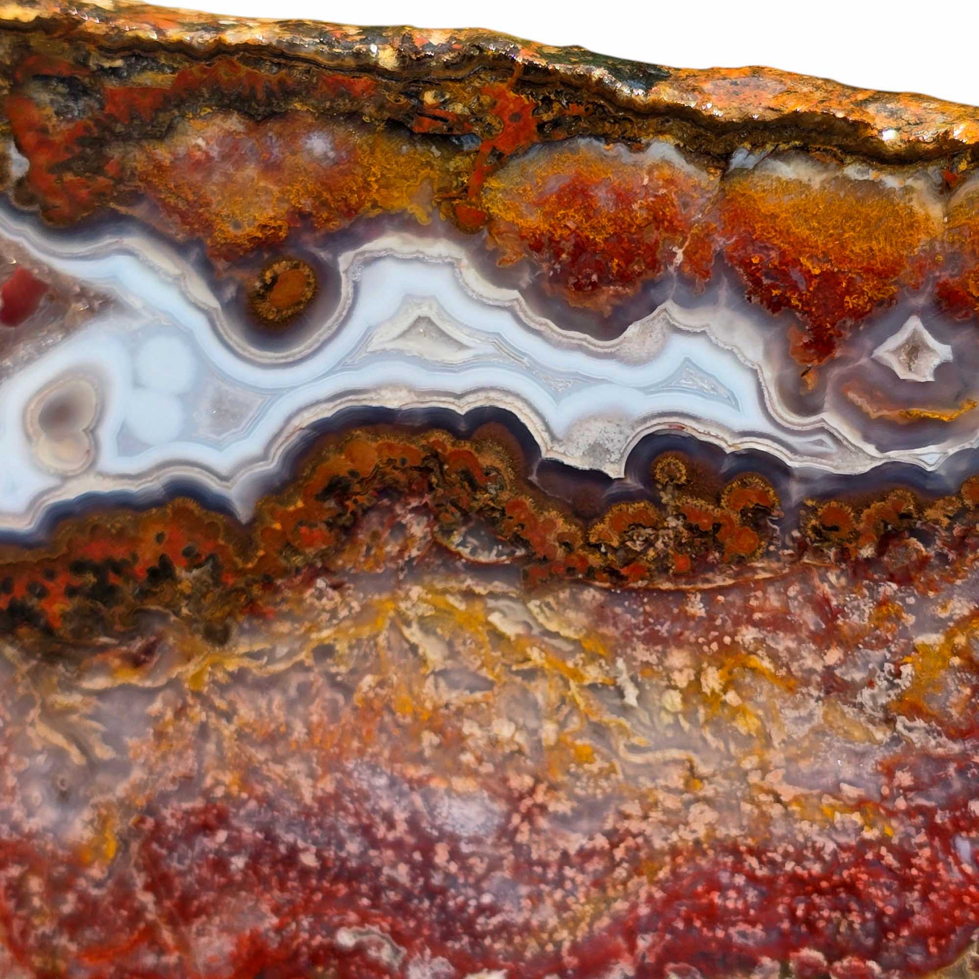 Agua Nueva Agate – Moss and Blue Fortification Patterns from Mexico