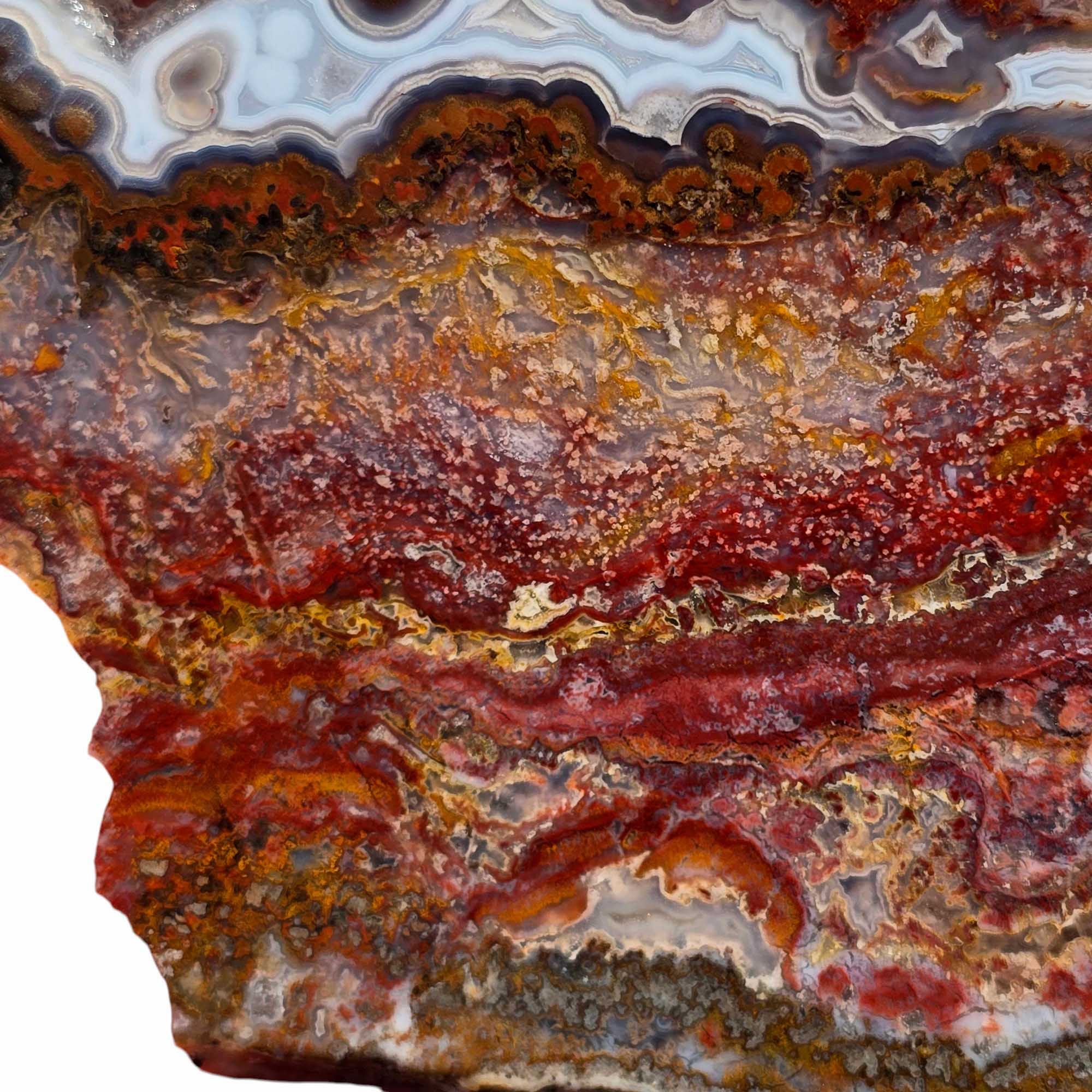 Agua Nueva Agate – Moss and Blue Fortification Patterns from Mexico