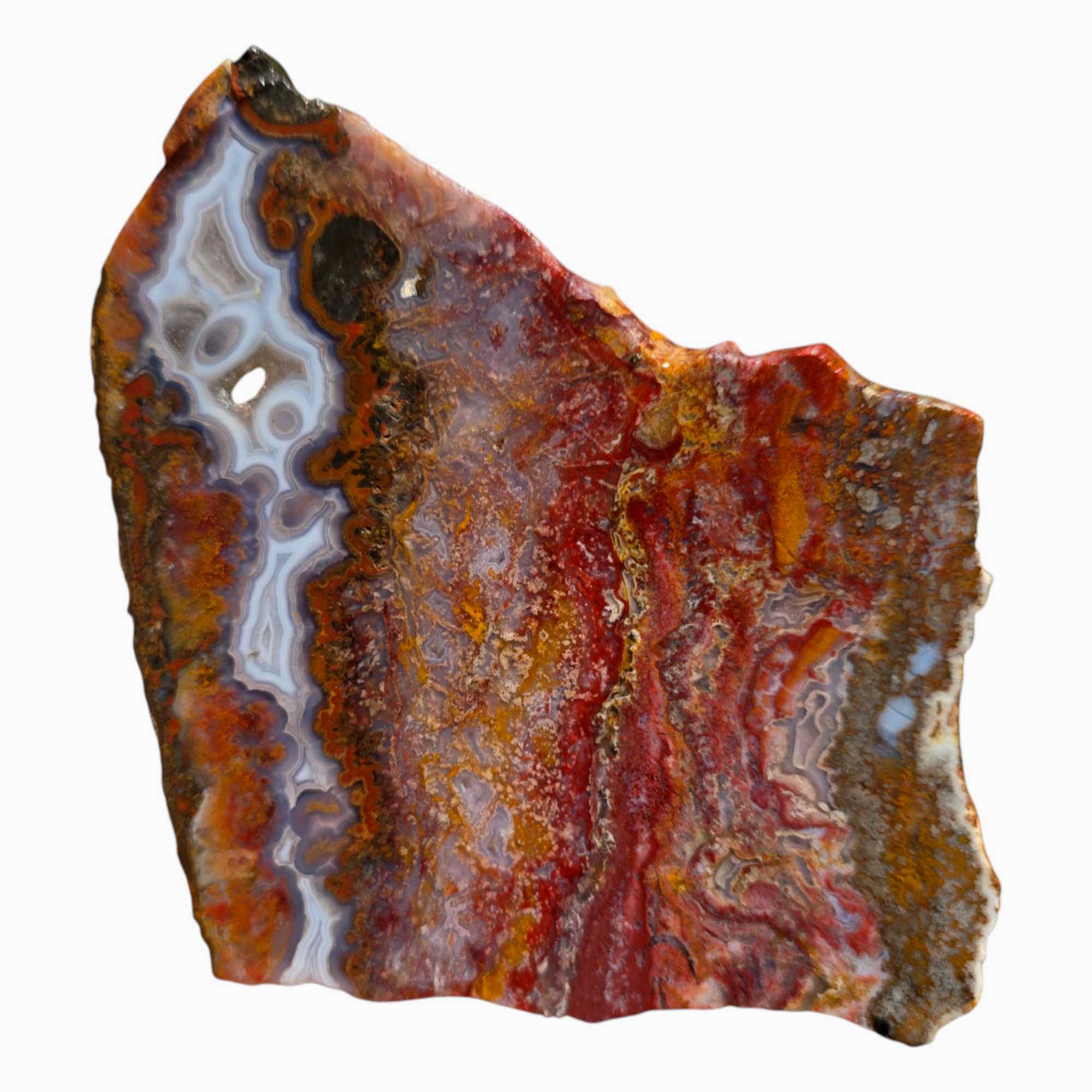 Agua Nueva Agate – Moss and Blue Fortification Patterns from Mexico