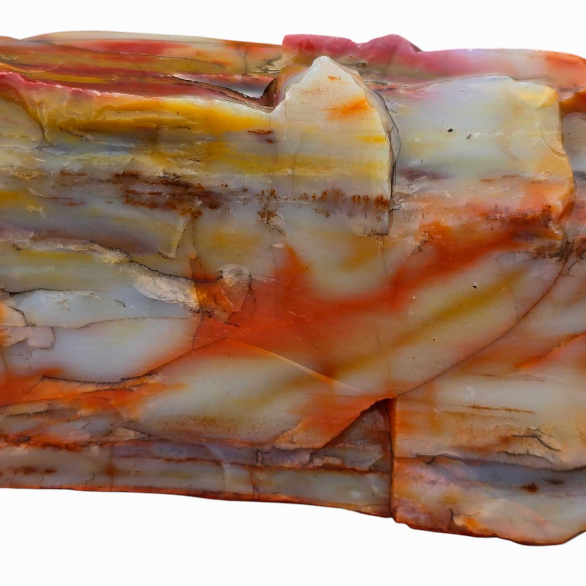 Arizona Rainbow Petrified Wood Rough – Fractured Specimen Bold Reds Purples #R911-2