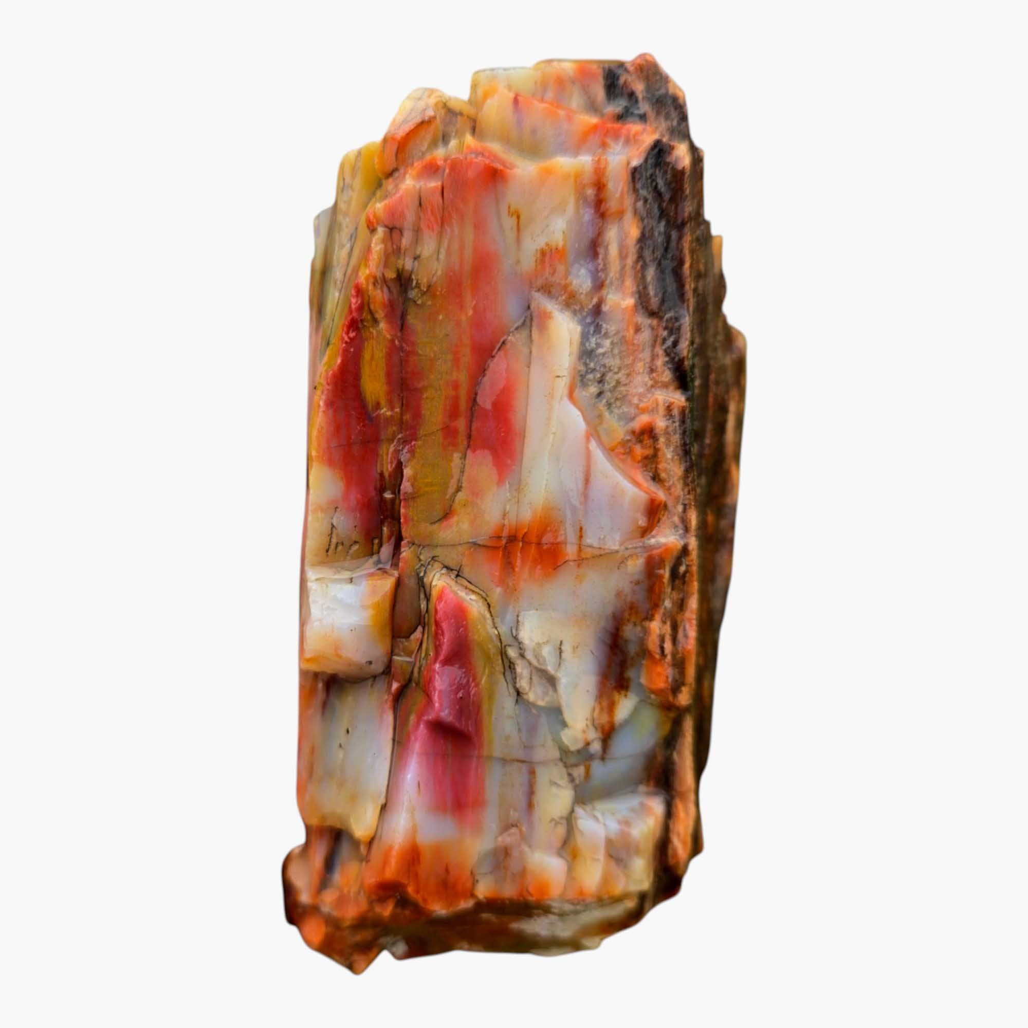 Arizona Rainbow Petrified Wood Rough – Fractured Specimen Bold Reds Purples #R911-3