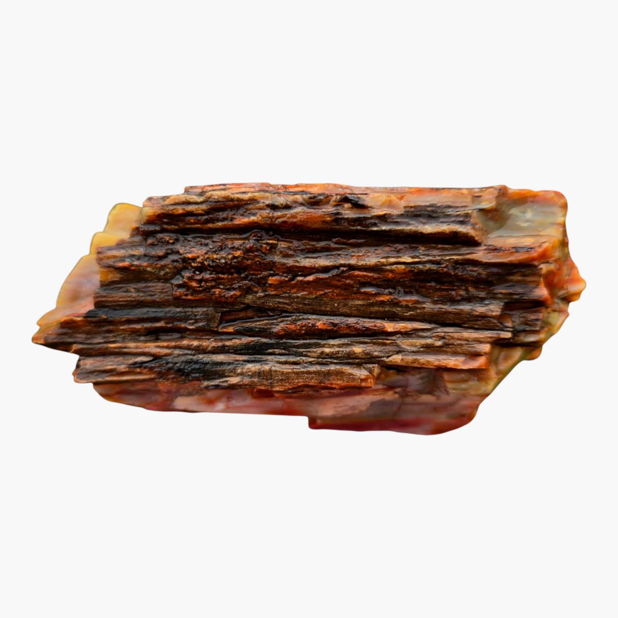 Arizona Rainbow Petrified Wood Rough – Fractured Specimen Bold Reds Purples #R911-4