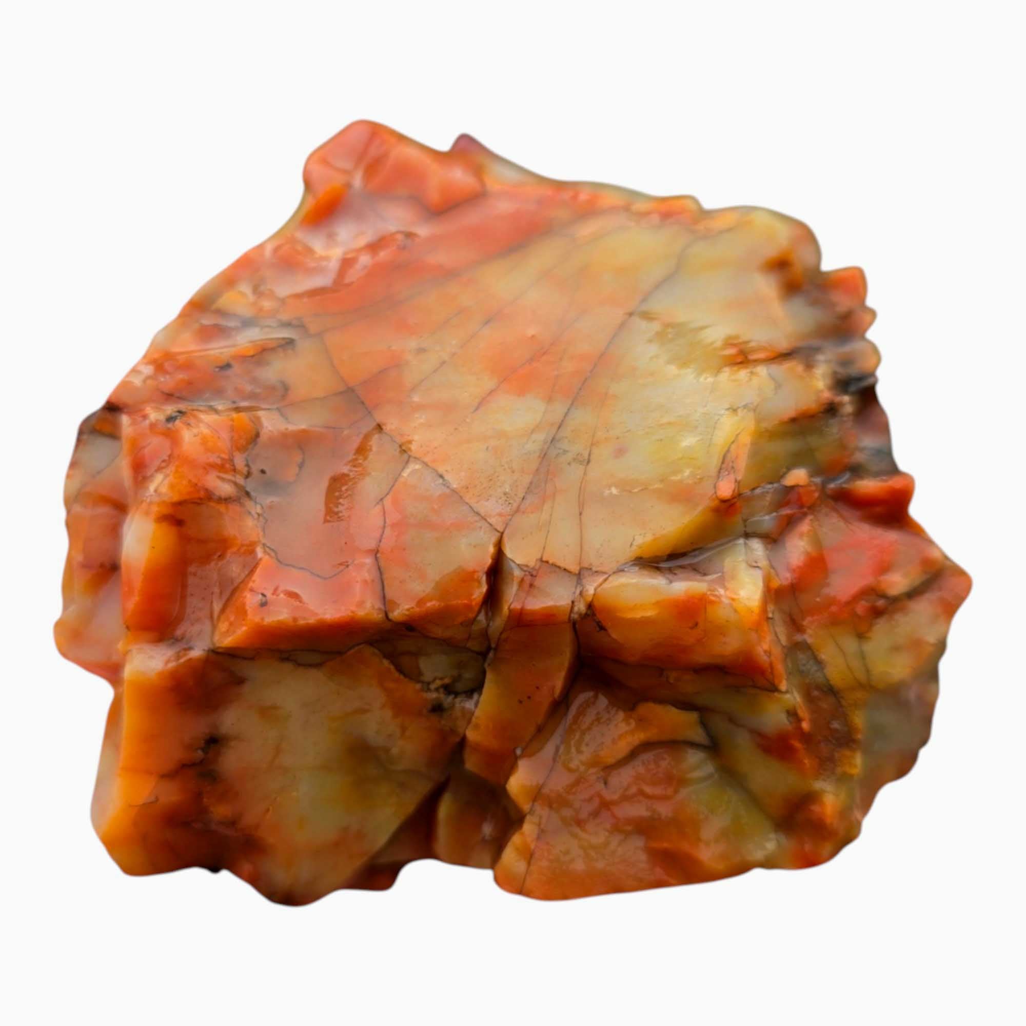 Arizona Rainbow Petrified Wood Rough – Fractured Specimen Bold Reds Purples #R911-6