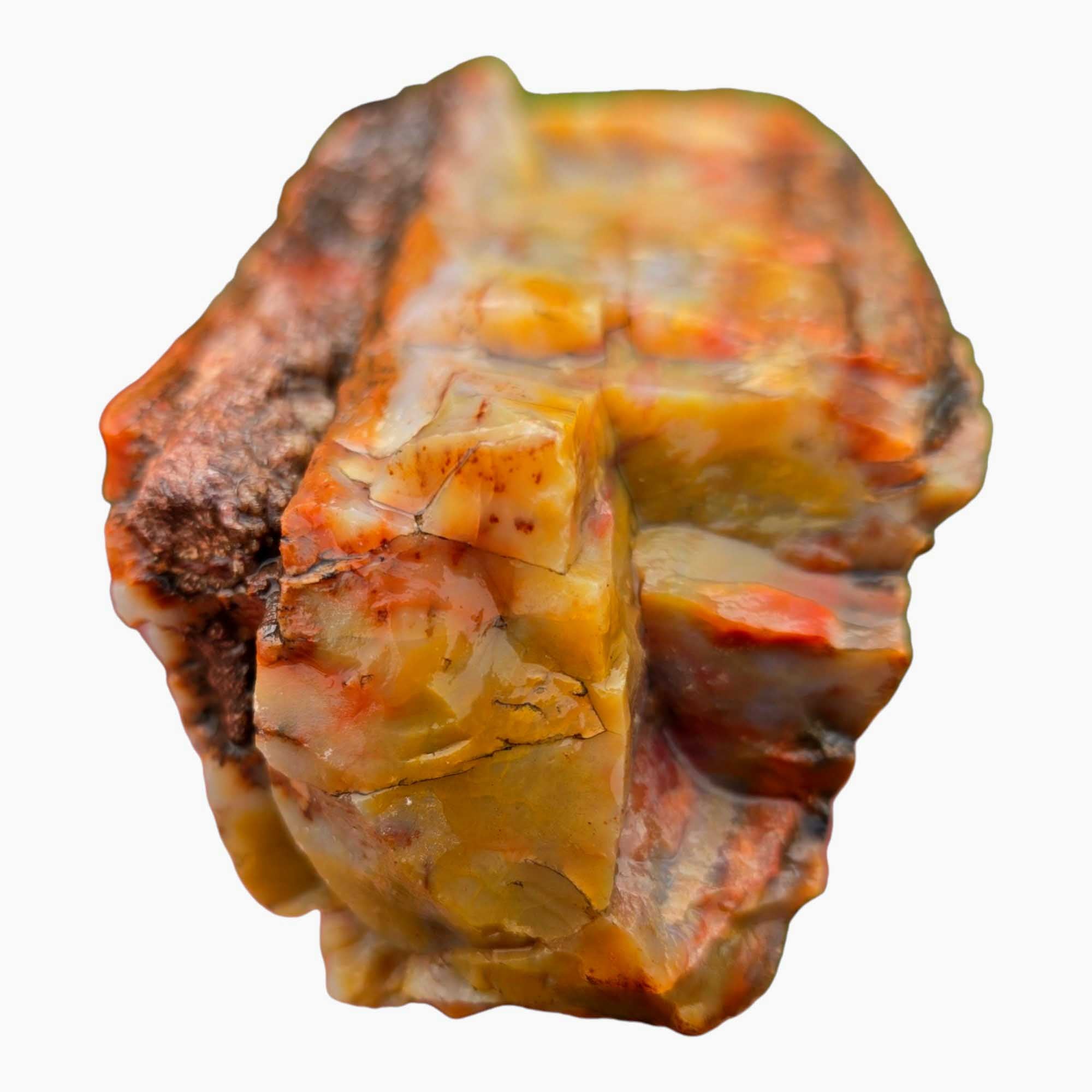 Arizona Rainbow Petrified Wood Rough – Fractured Specimen Bold Reds Purples #R911-7