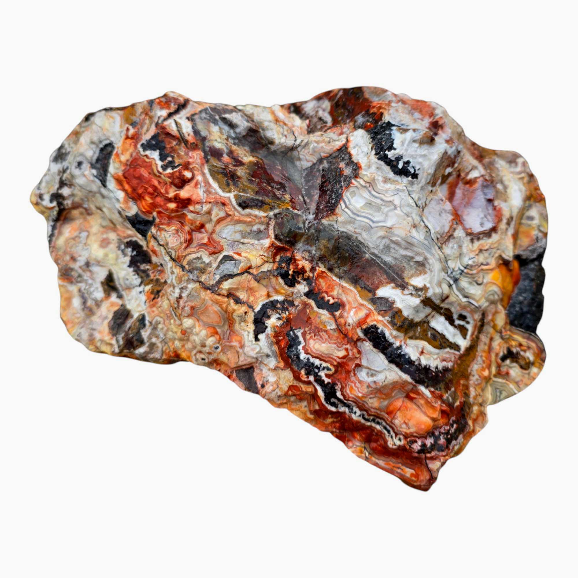 Large Crazy Lace Agate Rough – Bright Red & Orange High-Grade Lace, Great for Slabbing
