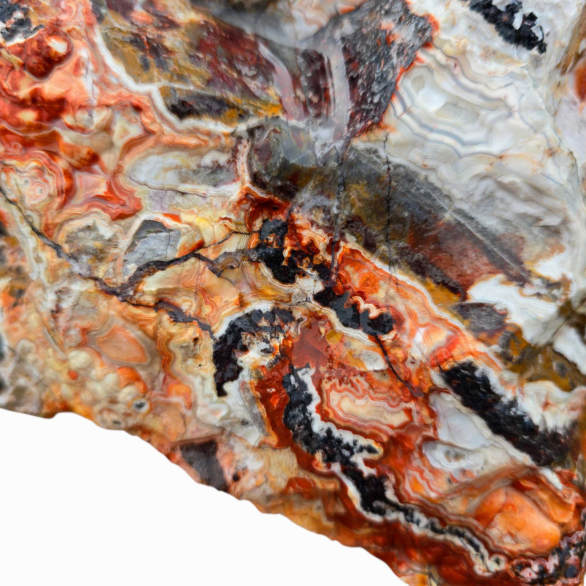 Large Crazy Lace Agate Rough – Bright Red & Orange High-Grade Lace, Great for Slabbing