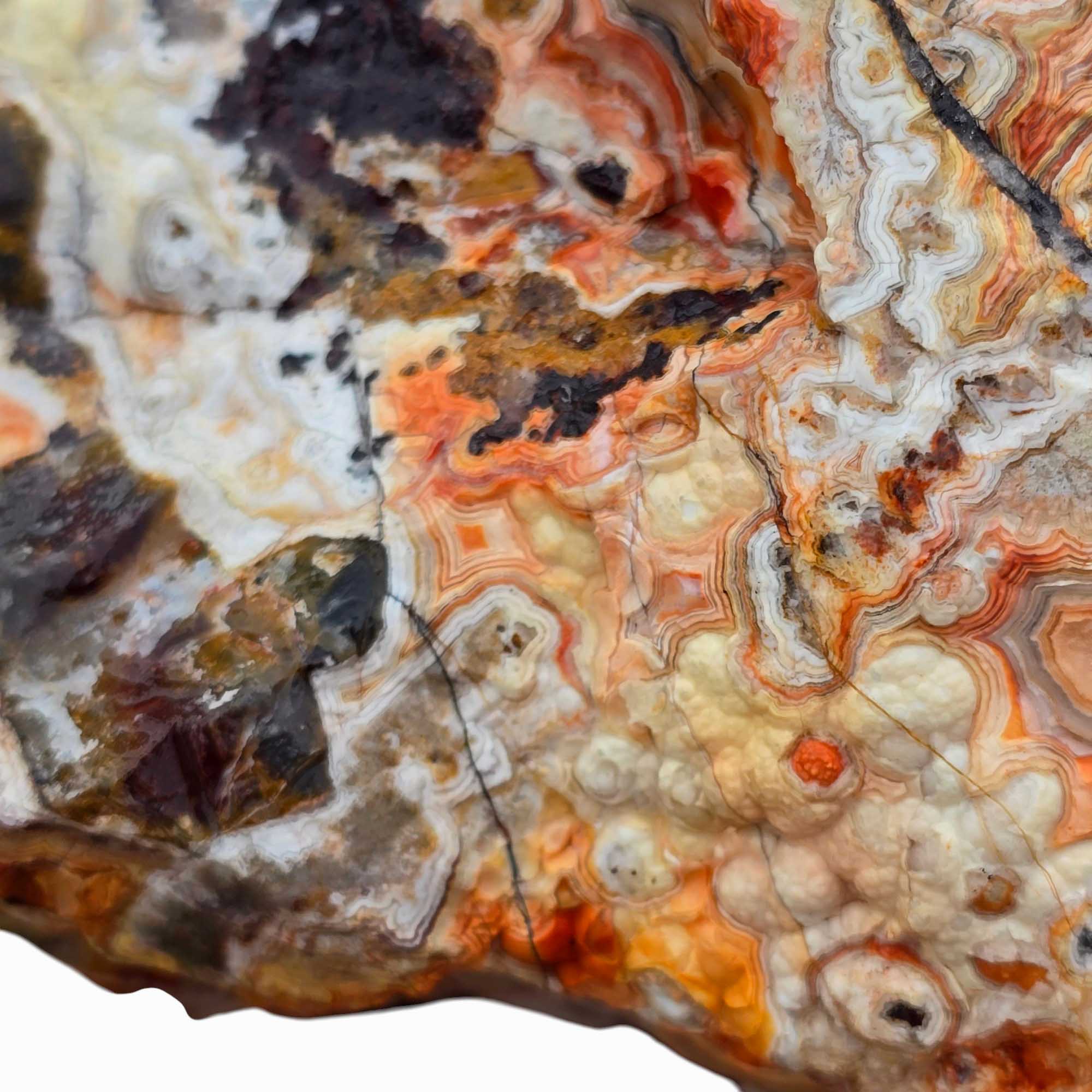 Large Crazy Lace Agate Rough – Bright Red & Orange High-Grade Lace, Great for Slabbing