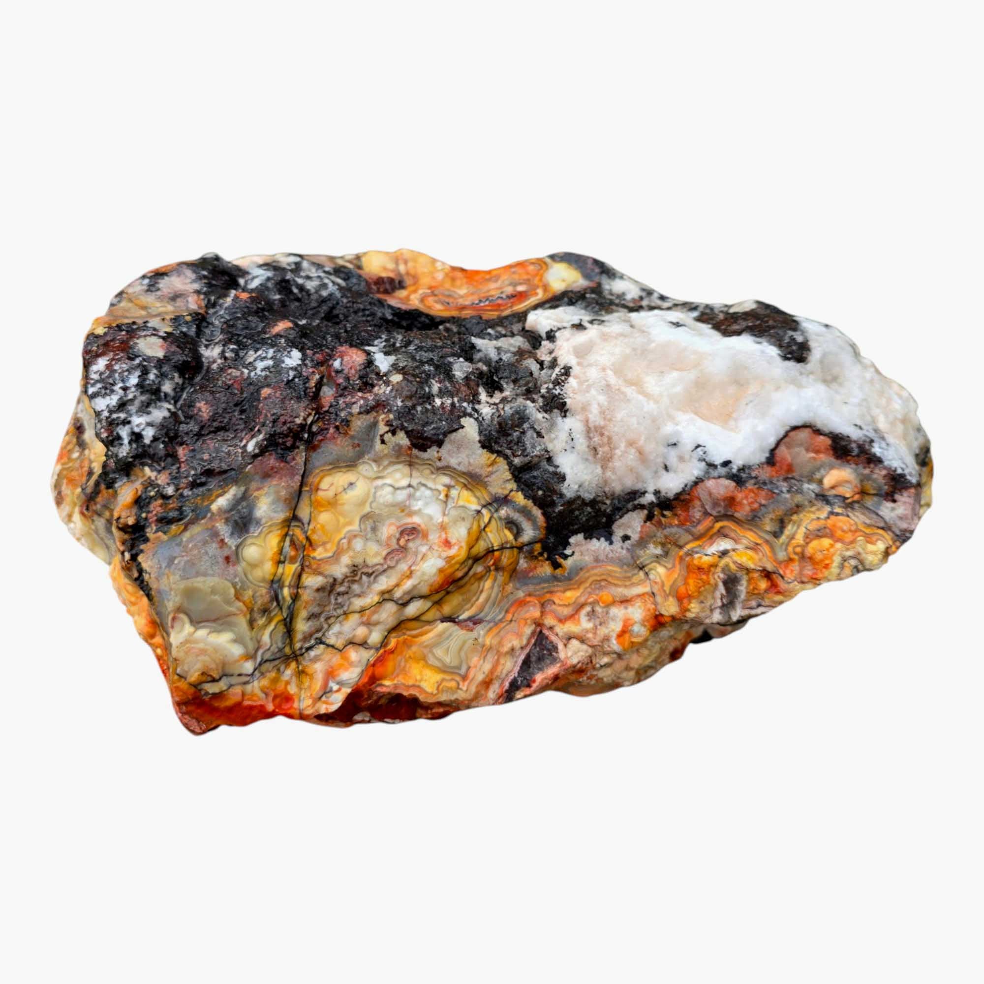 Large Crazy Lace Agate Rough – Bright Red & Orange High-Grade Lace, Great for Slabbing