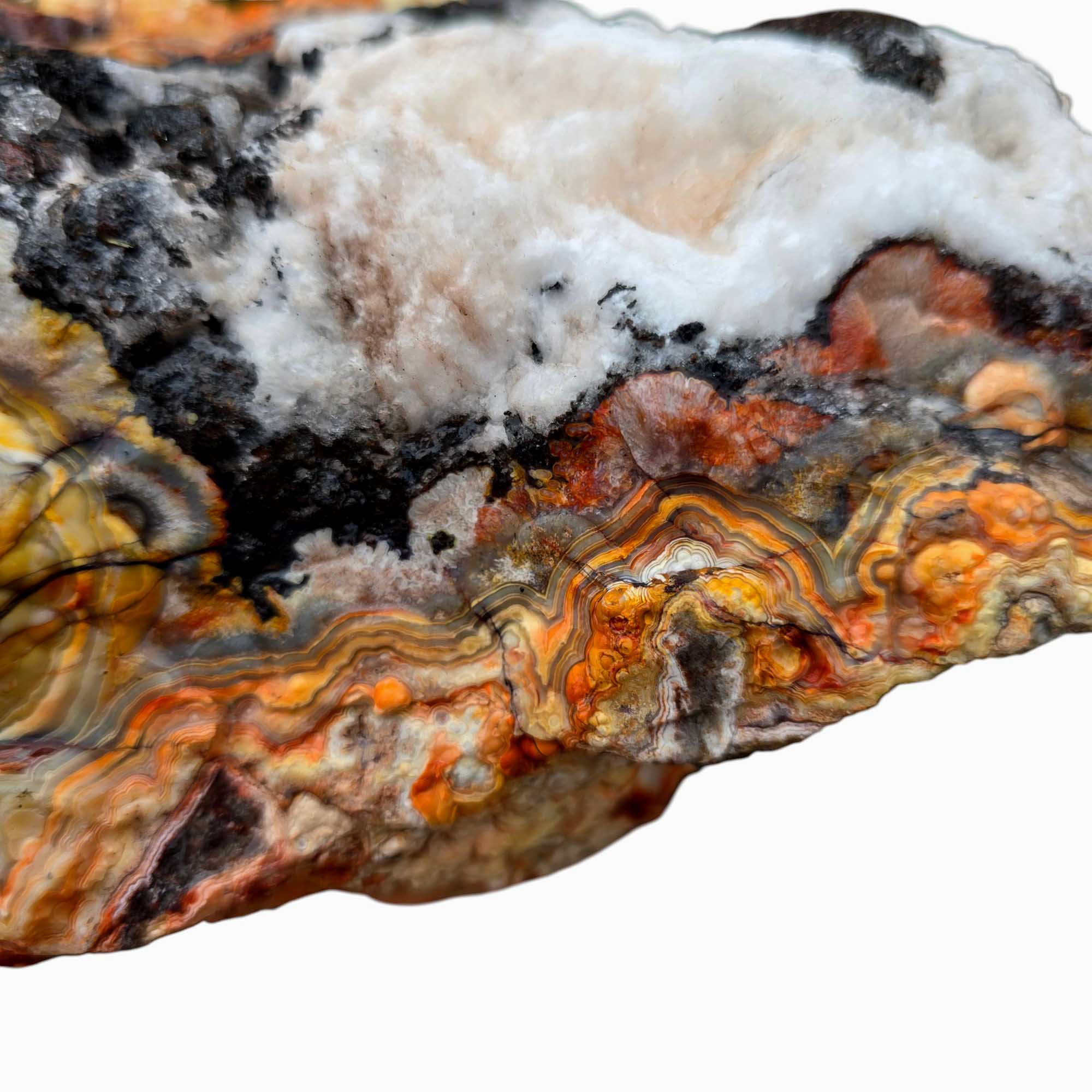 Large Crazy Lace Agate Rough – Bright Red & Orange High-Grade Lace, Great for Slabbing