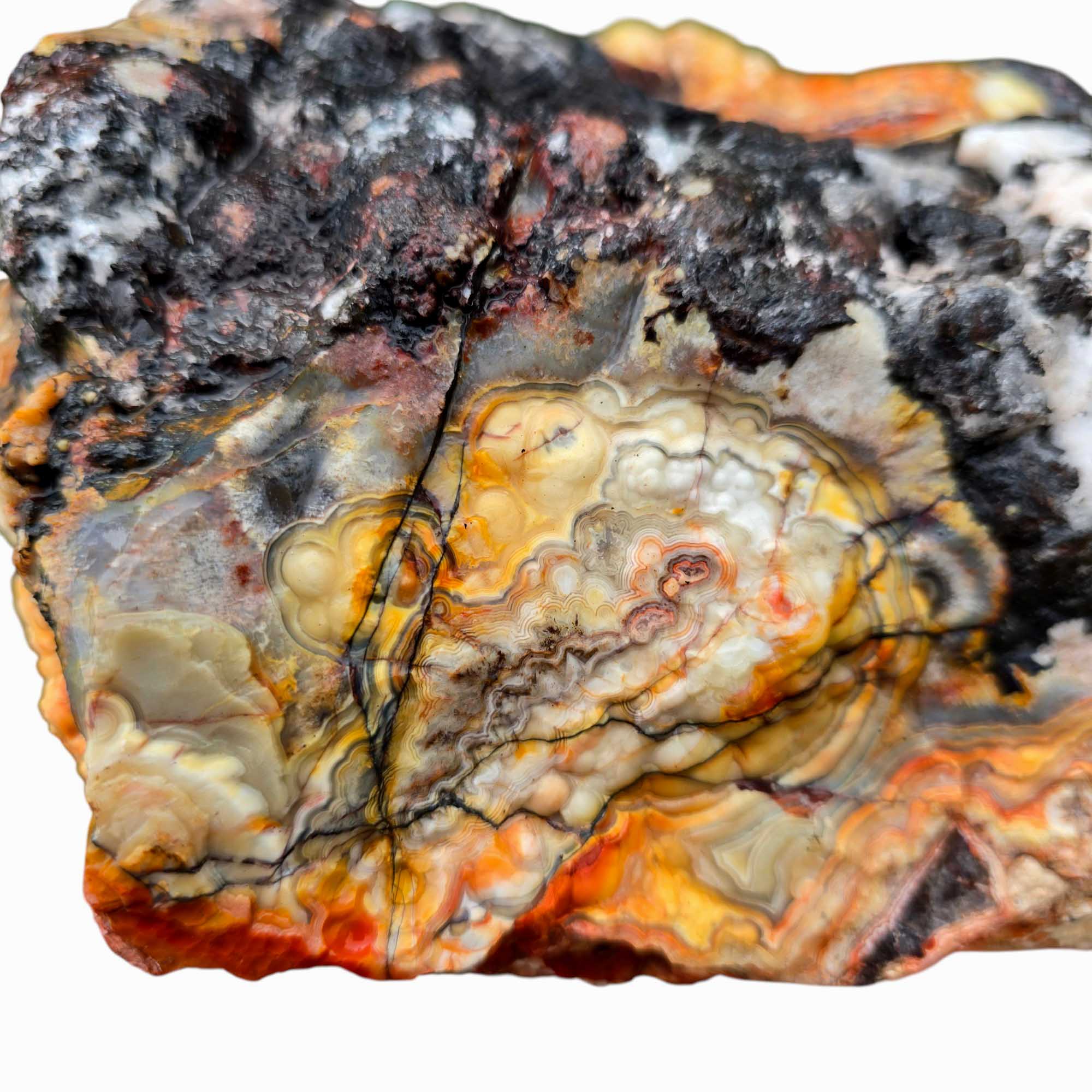 Large Crazy Lace Agate Rough – Bright Red & Orange High-Grade Lace, Great for Slabbing