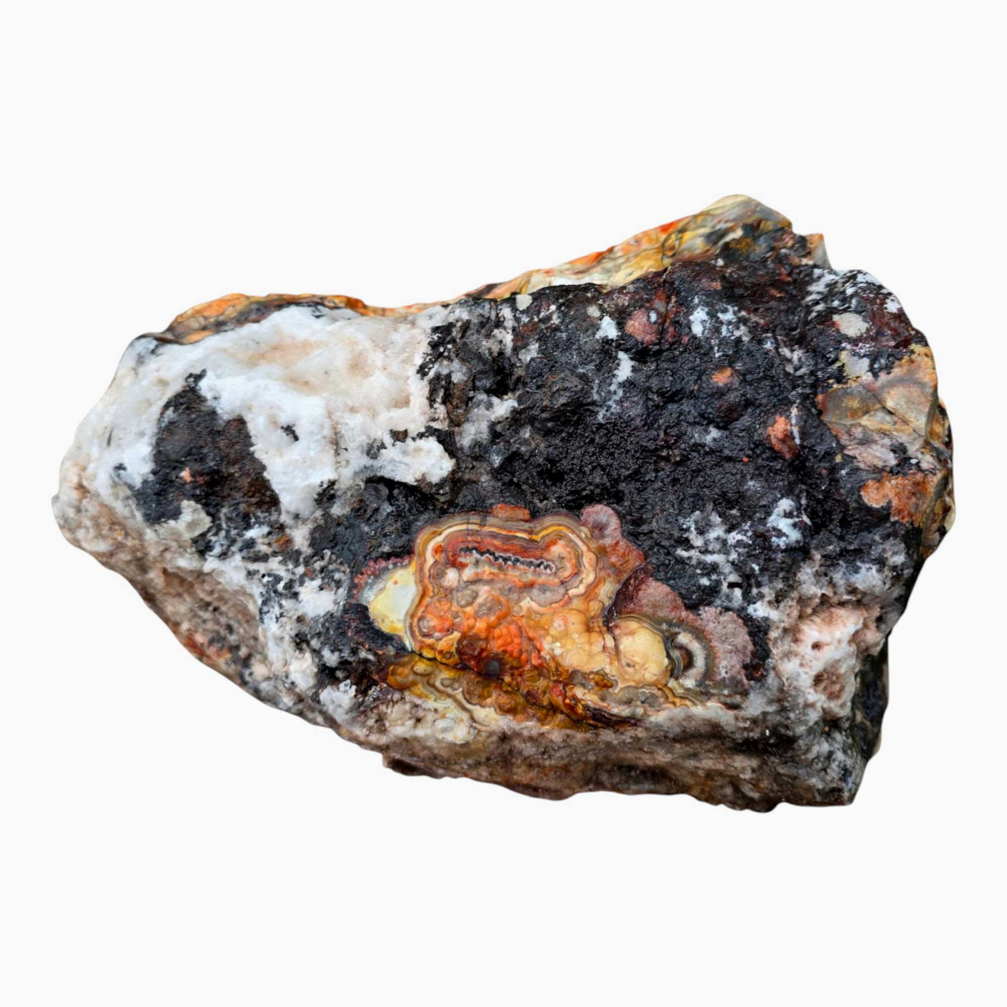 Large Crazy Lace Agate Rough – Bright Red & Orange High-Grade Lace, Great for Slabbing