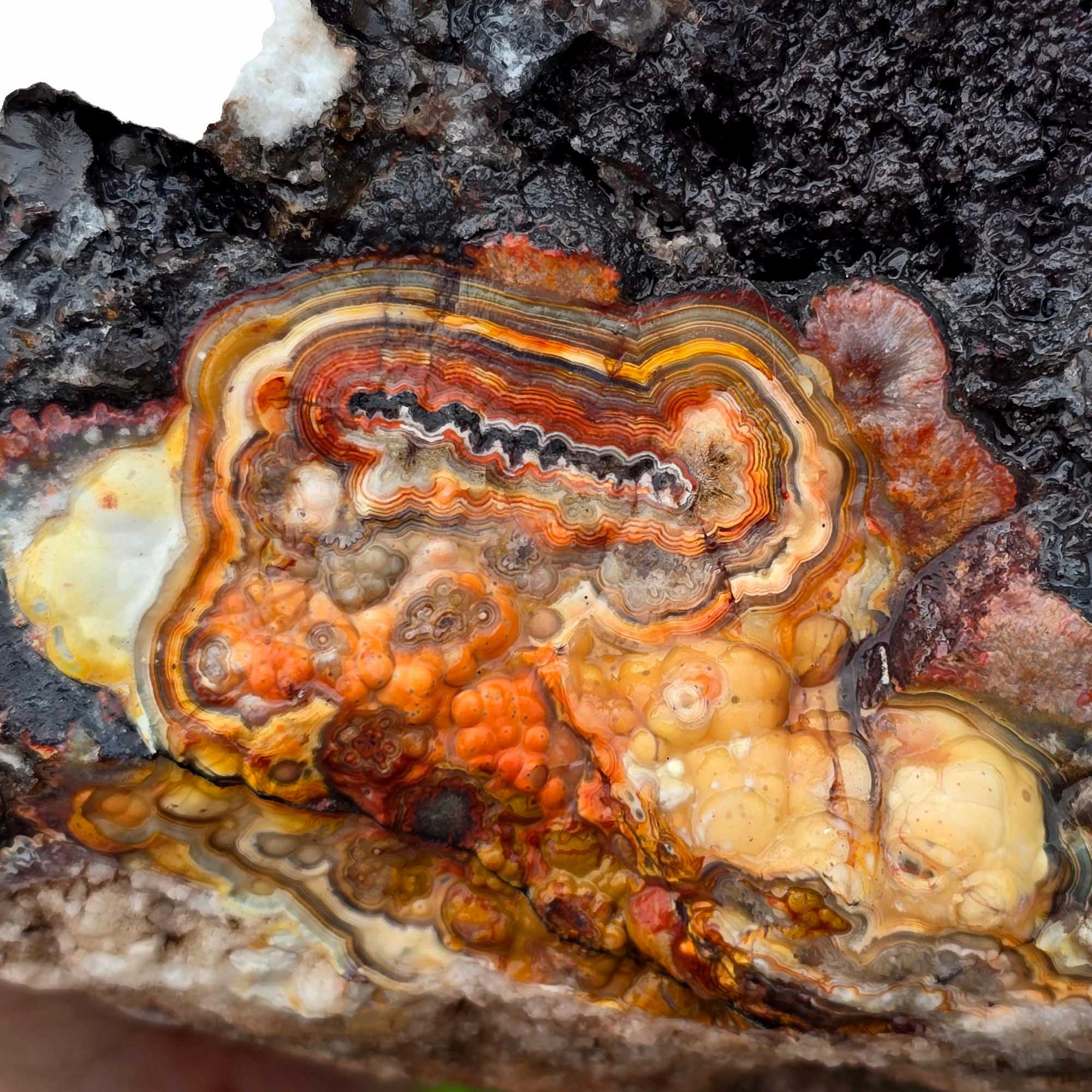 Large Crazy Lace Agate Rough – Bright Red & Orange High-Grade Lace, Great for Slabbing