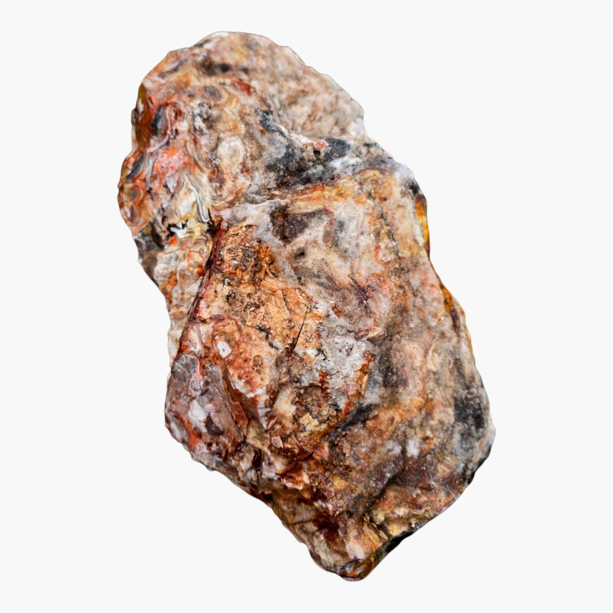 Large Crazy Lace Agate Rough – Bright Red & Orange High-Grade Lace, Great for Slabbing