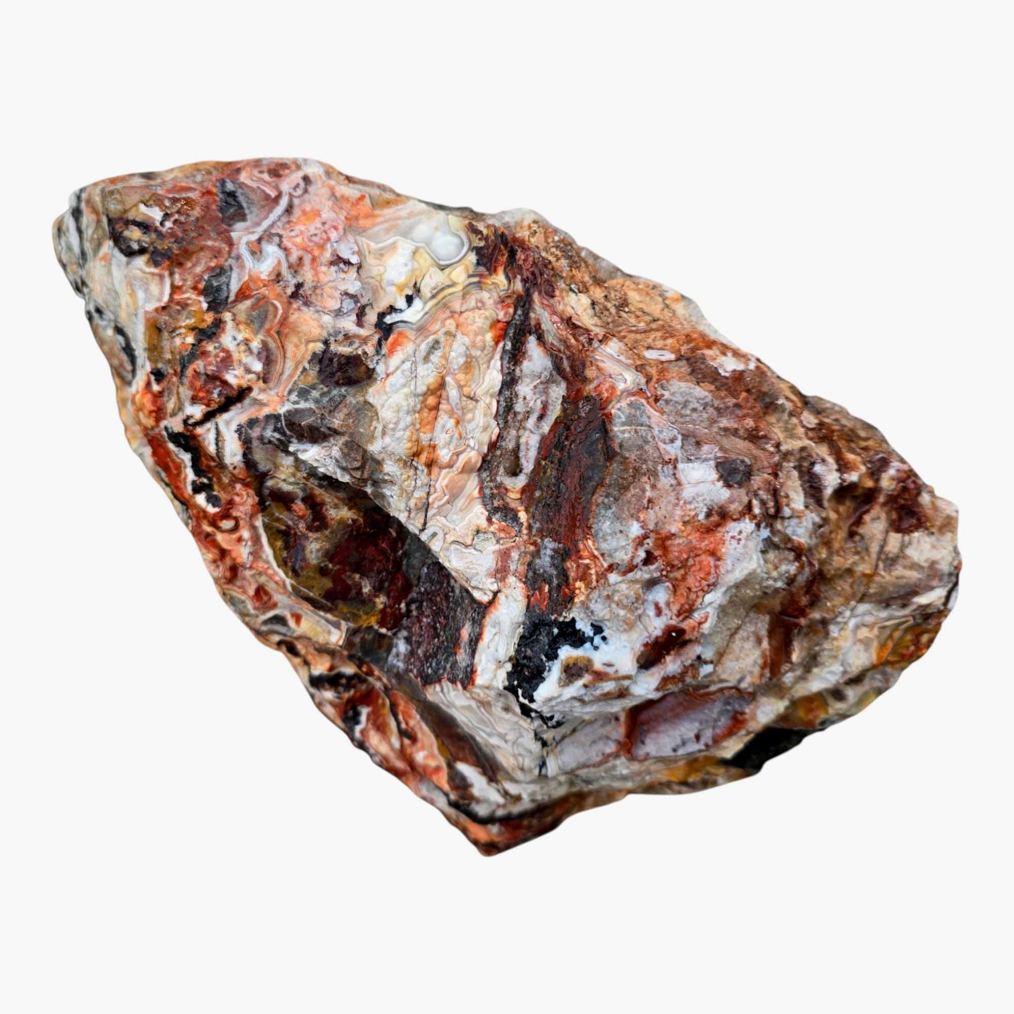 Large Crazy Lace Agate Rough – Bright Red & Orange High-Grade Lace, Great for Slabbing