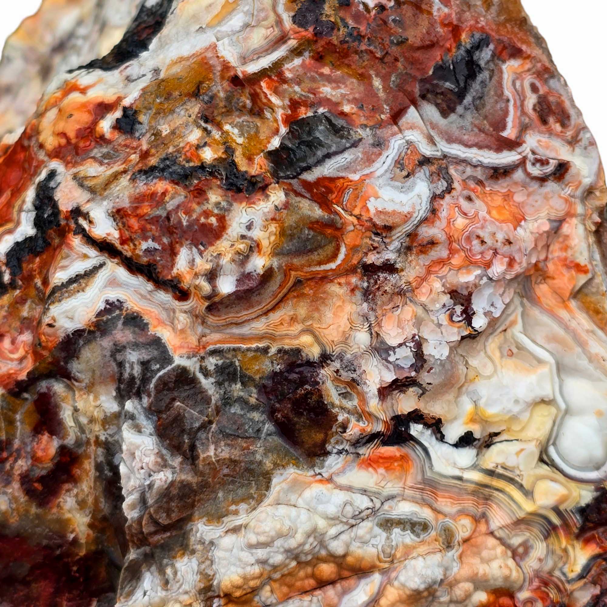 Large Crazy Lace Agate Rough – Bright Red & Orange High-Grade Lace, Great for Slabbing