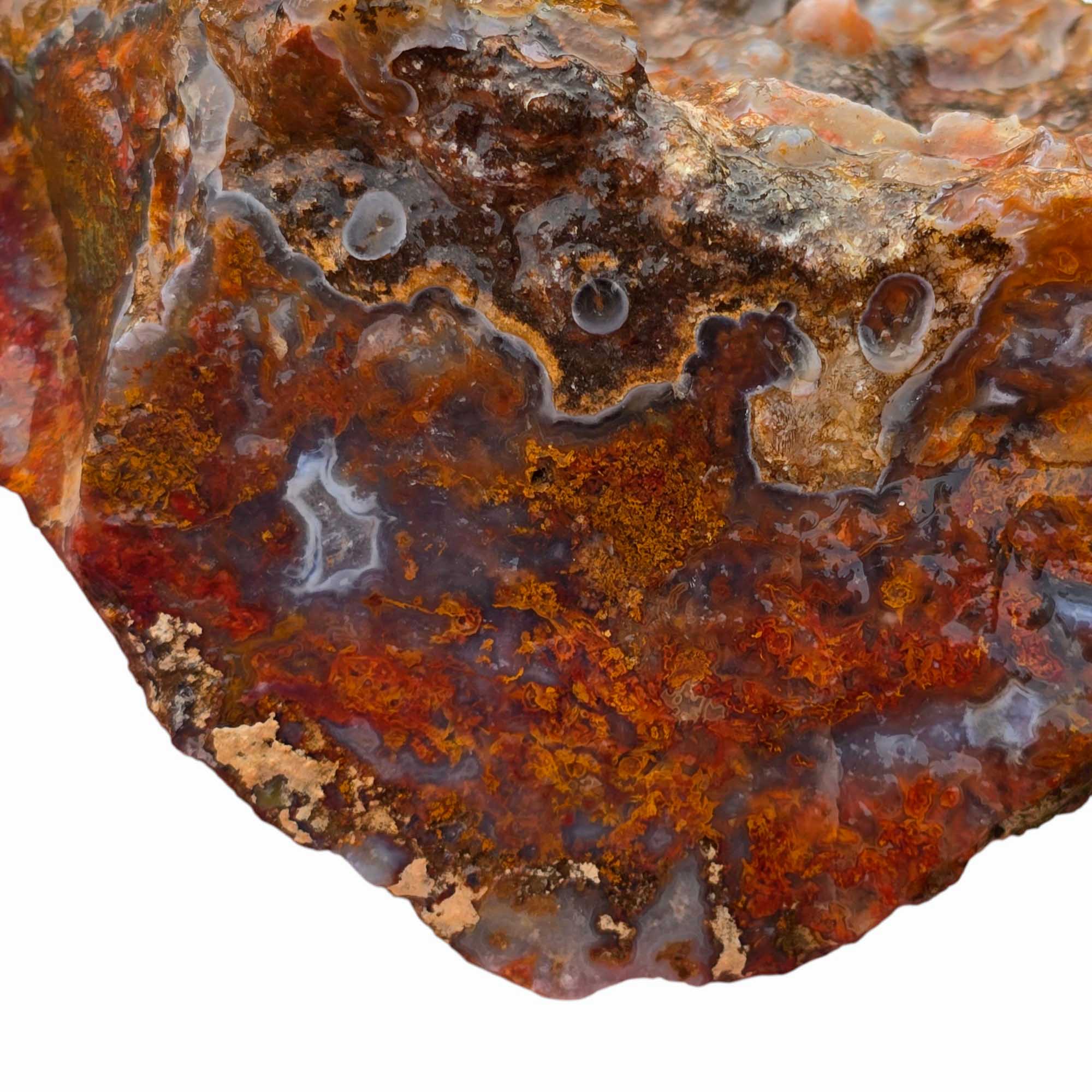 San Carlos Agate Rough – Orange Moss with Tube Botryoidal Top, Great for Cabbing