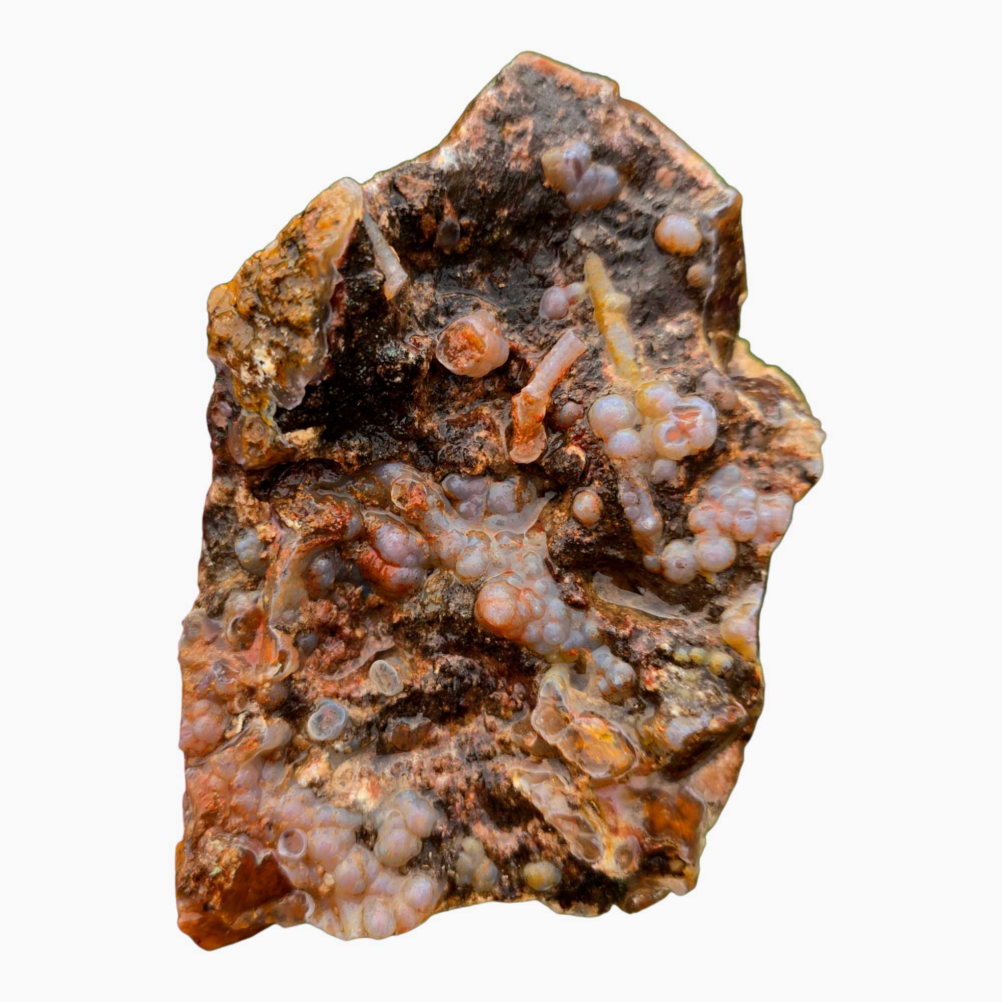 San Carlos Agate Rough – Orange Moss with Tube Botryoidal Top, Great for Cabbing