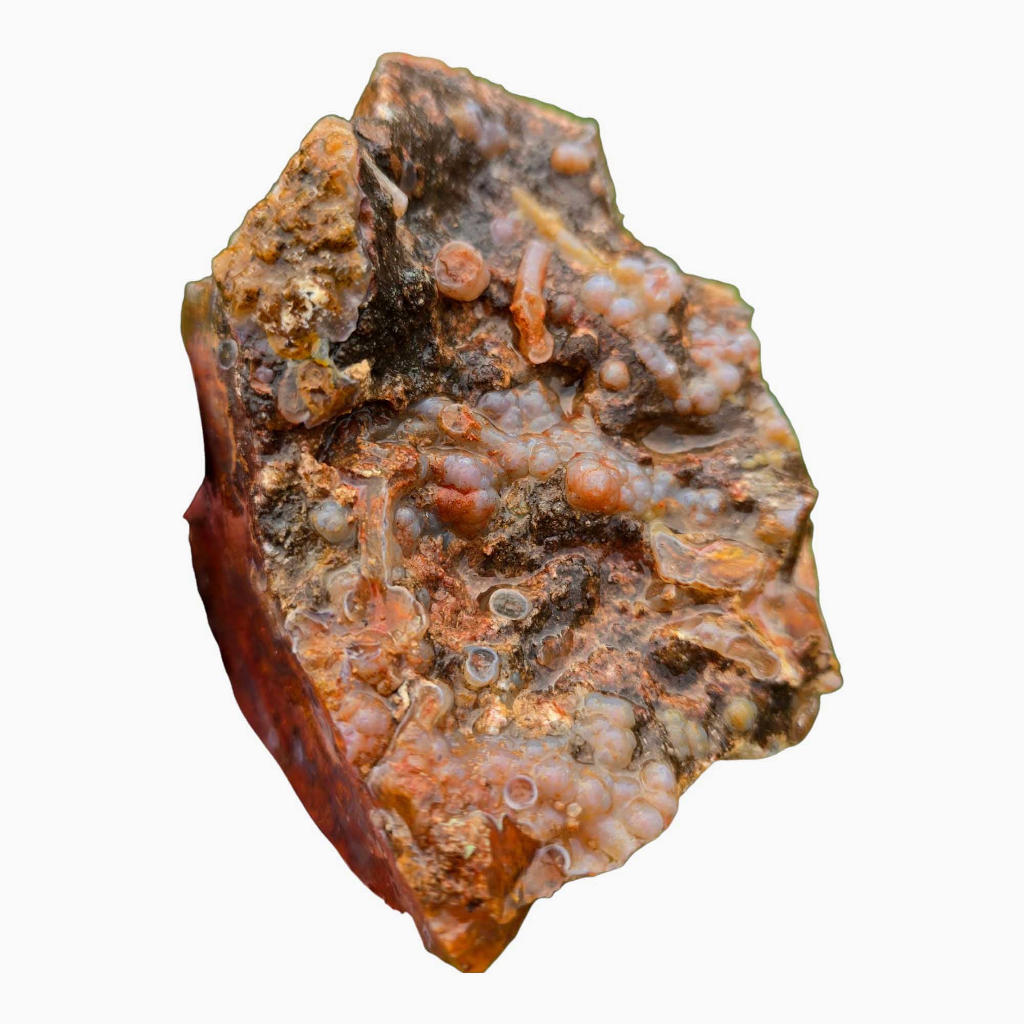 San Carlos Agate Rough – Orange Moss with Tube Botryoidal Top, Great for Cabbing