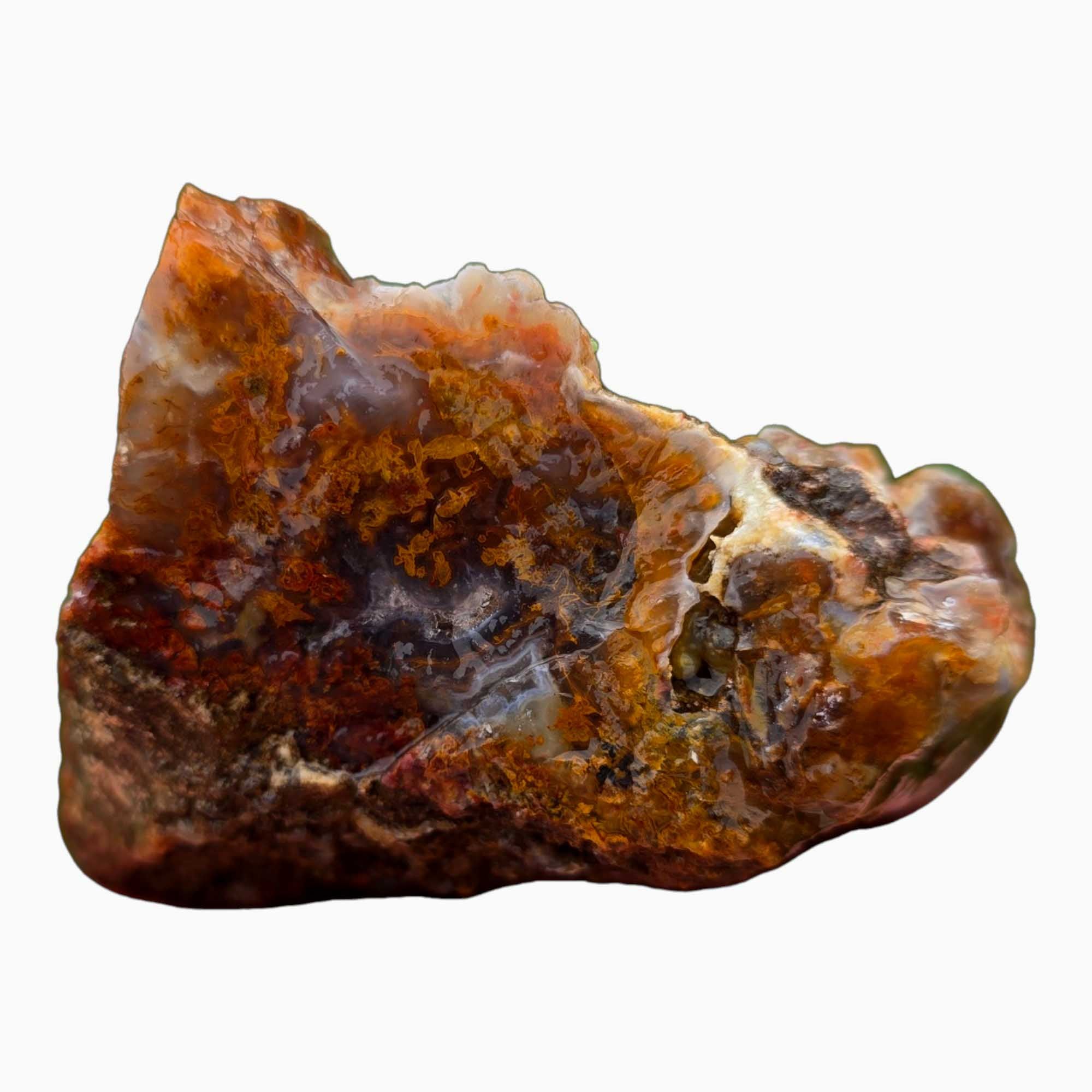 San Carlos Agate Rough – Orange Moss with Tube Botryoidal Top, Great for Cabbing