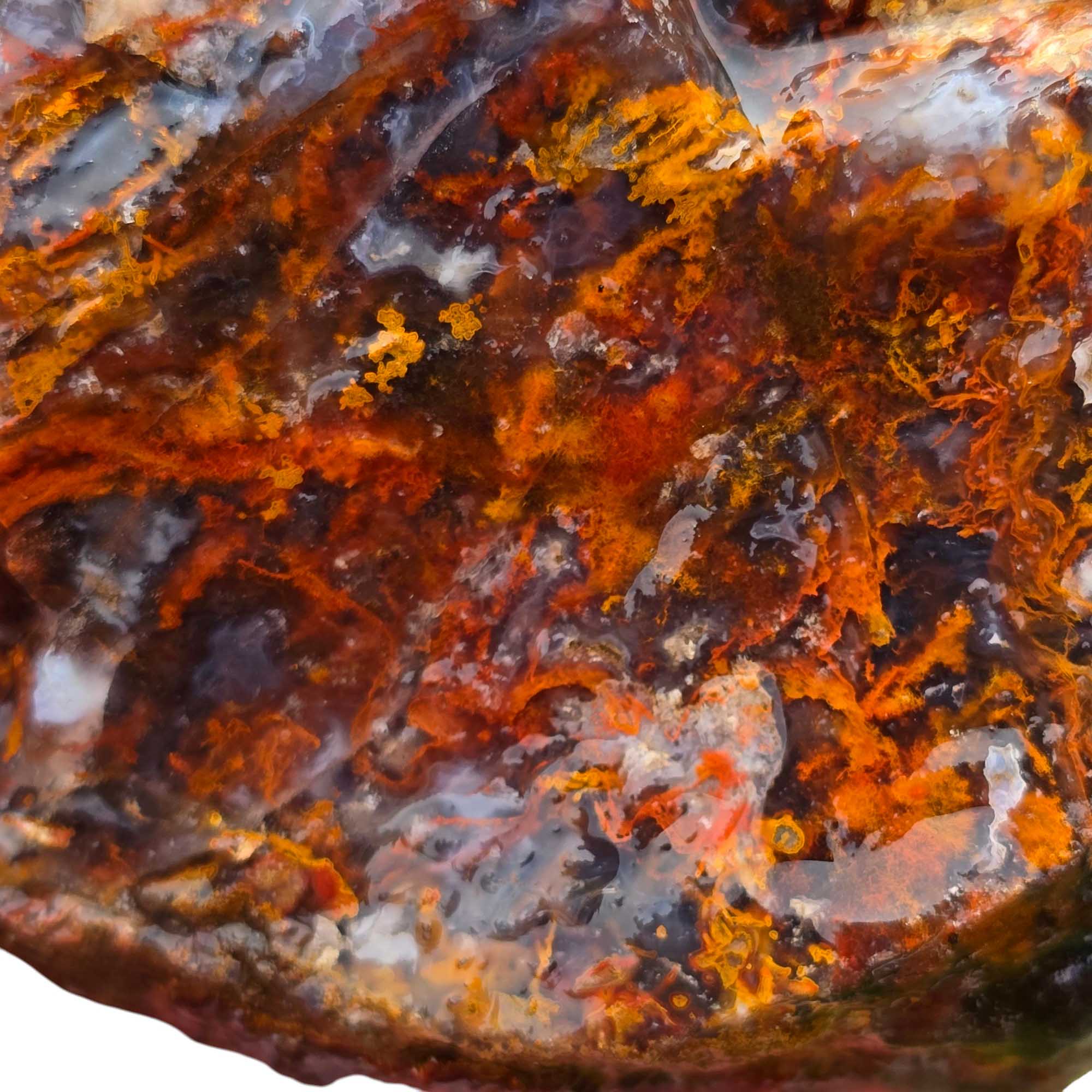 San Carlos Agate Rough – Mossy Orange & Blue Agate Trimmer for Cabbing