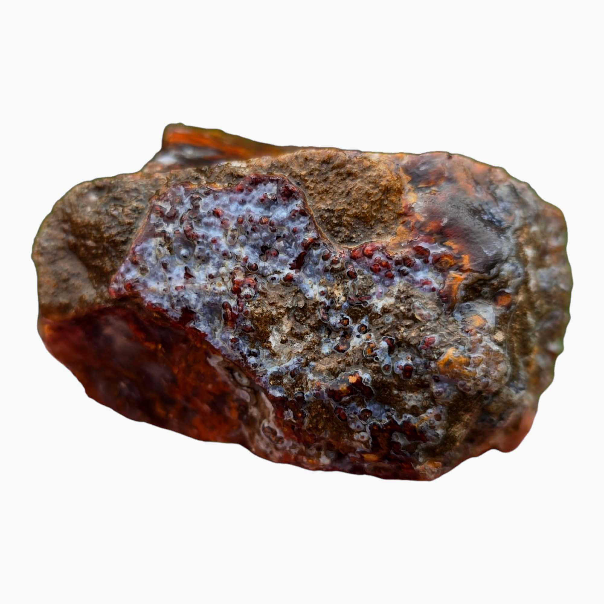 San Carlos Agate Rough – Mossy Orange & Blue Agate Trimmer for Cabbing