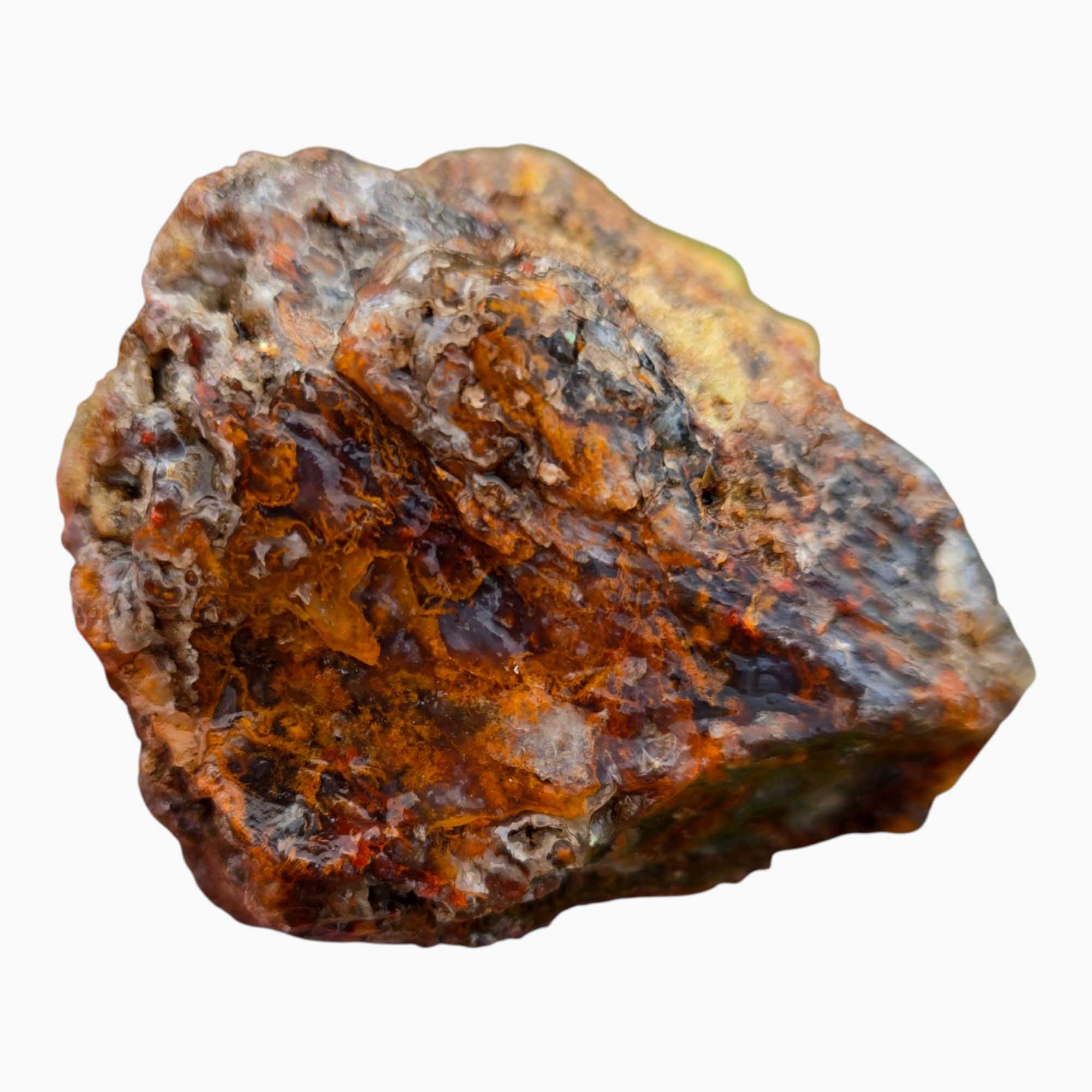 San Carlos Agate Rough – Mossy Orange & Blue Agate Trimmer for Cabbing