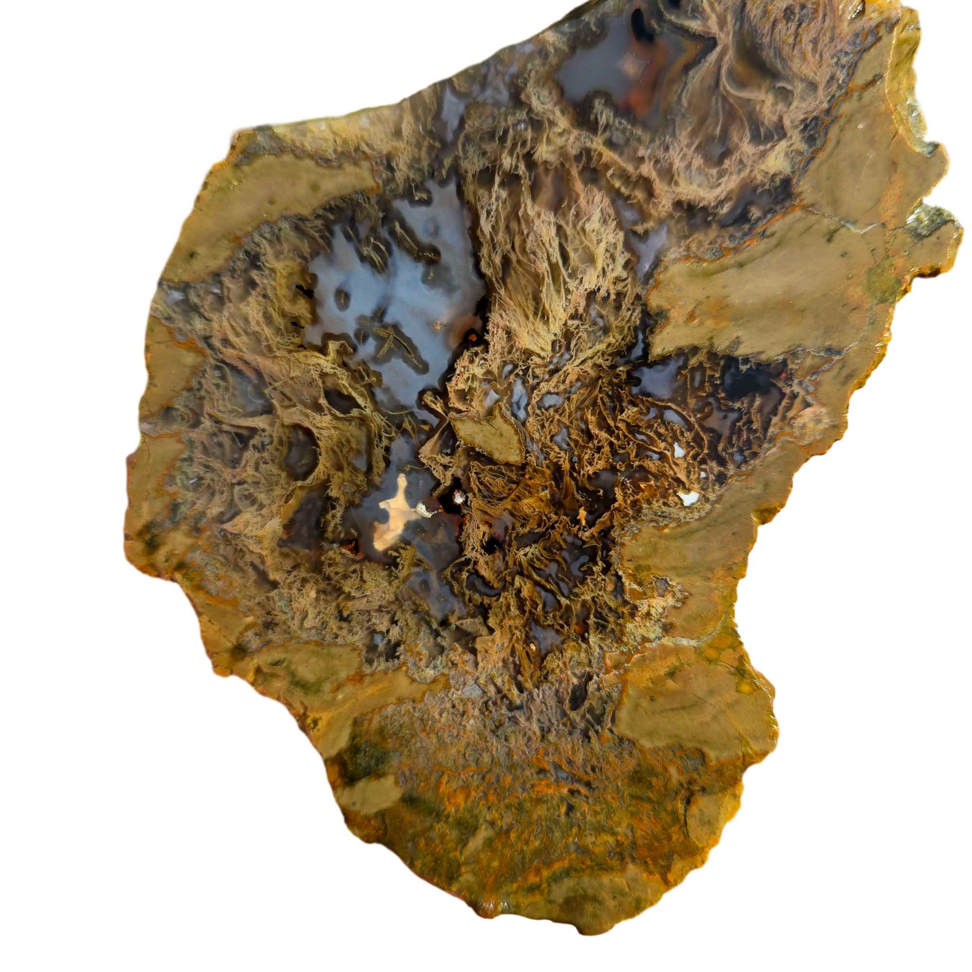 Priday Moss Bed Thunderegg – Cut and Proven – Blue Agate Streamer Moss