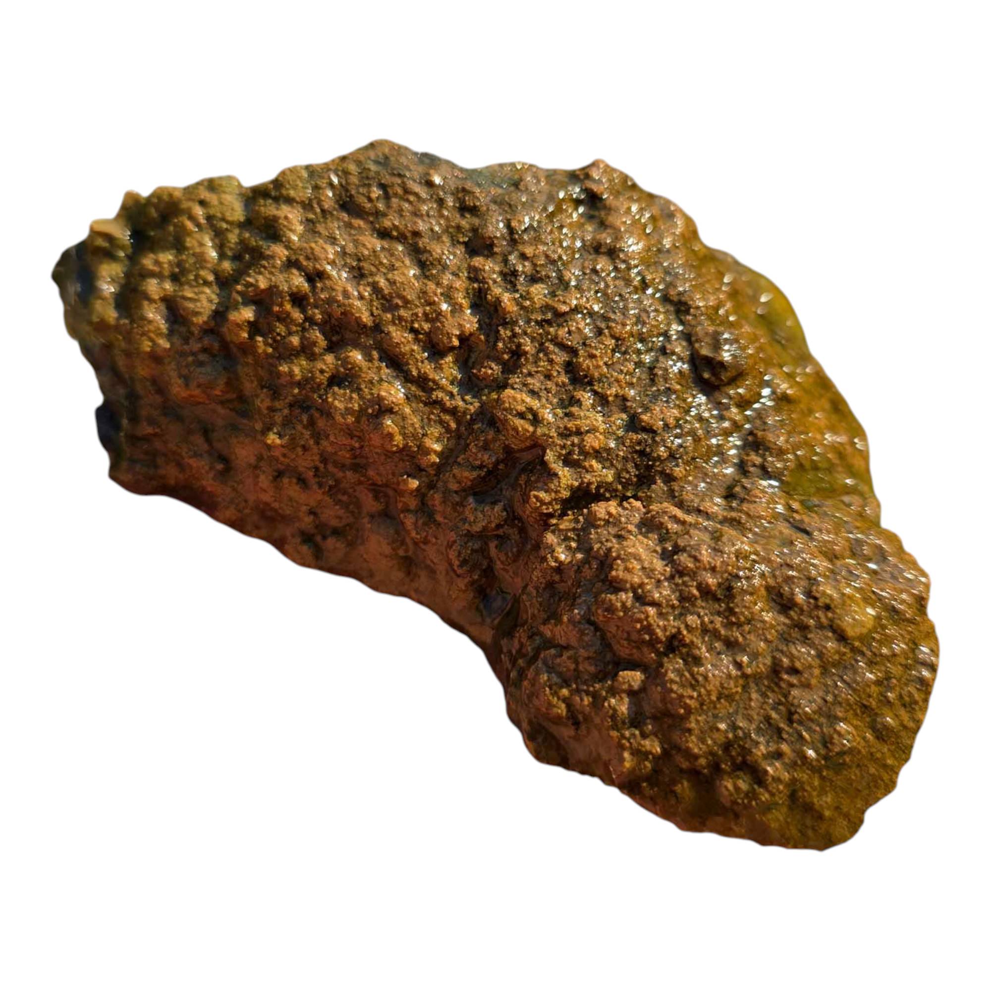 Priday Moss Bed Thunderegg – Cut and Proven – Blue Agate Streamer Moss