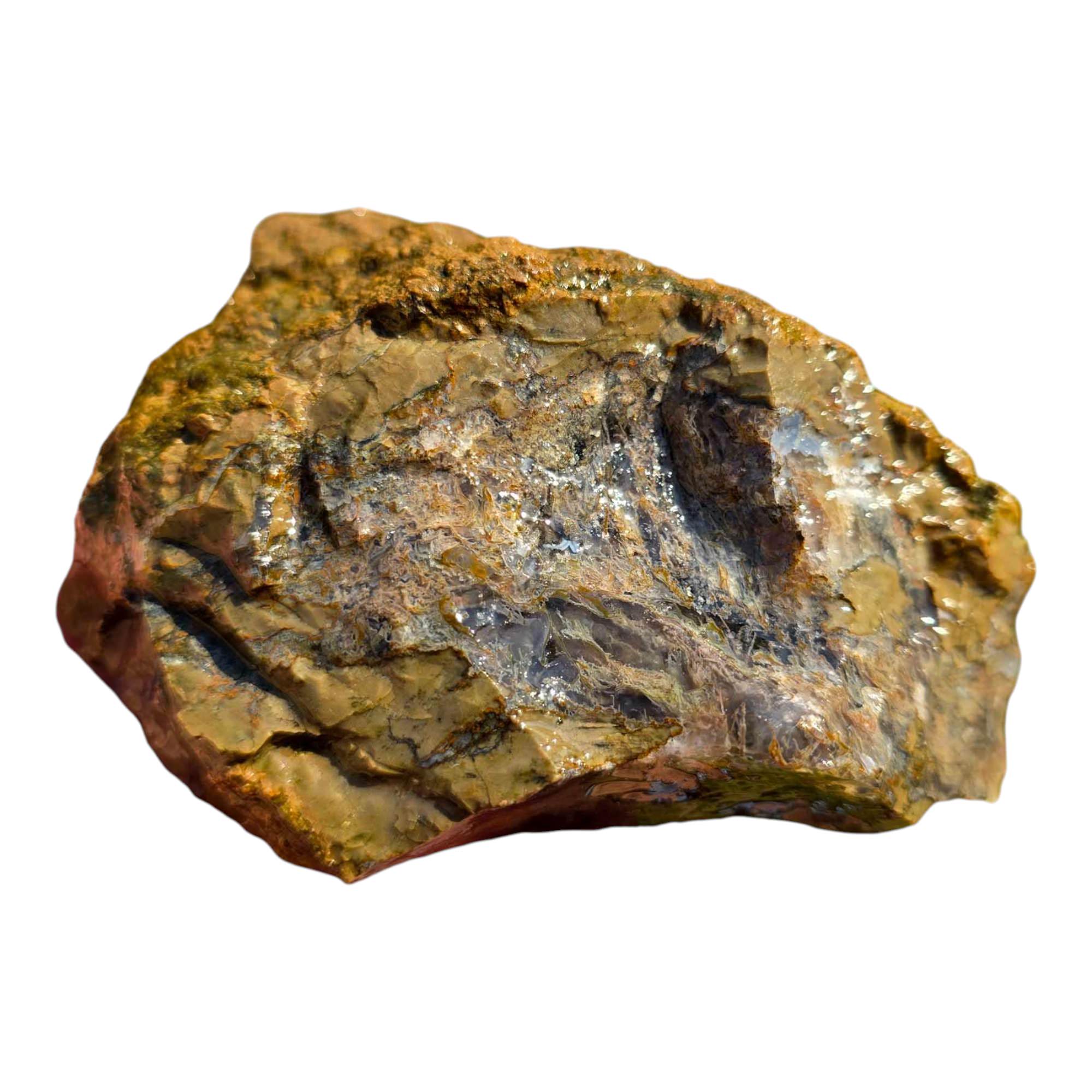 Priday Moss Bed Thunderegg – Cut and Proven – Blue Agate Streamer Moss