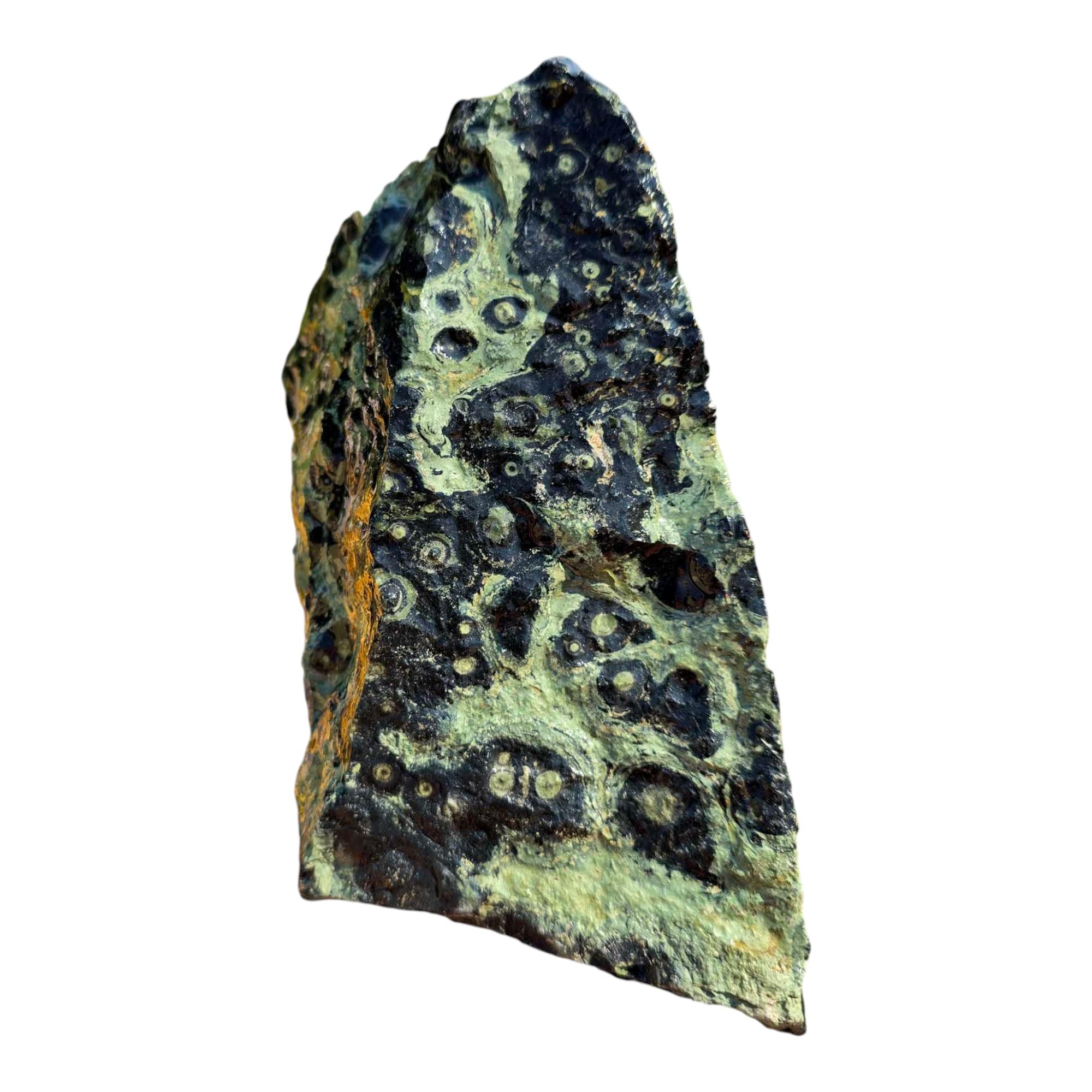 Kambaba Jasper Cutting Rough – Creamy Green Eye Patterns – Madagascar Fossil