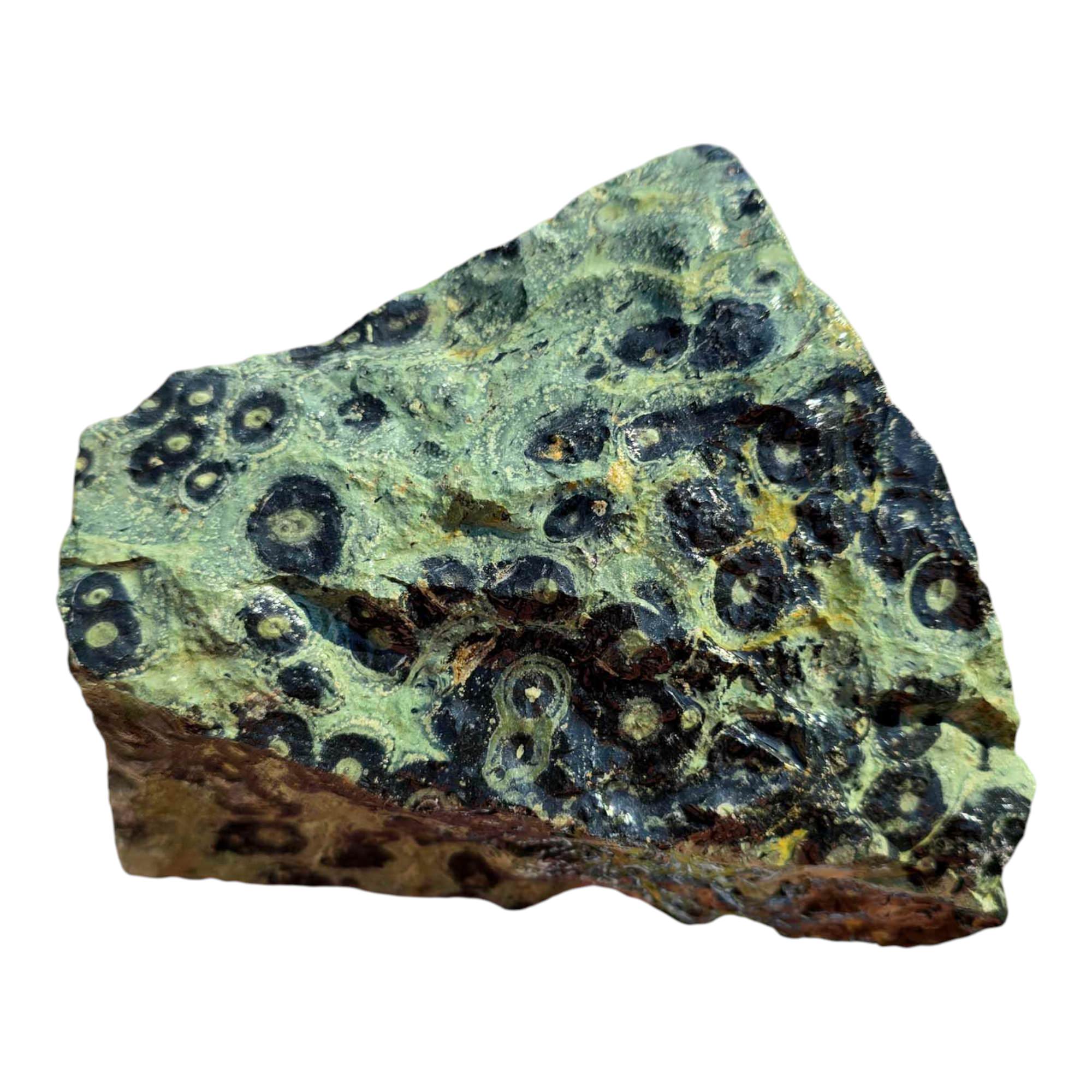 Kambaba Jasper Cutting Rough – Creamy Green Eye Patterns – Madagascar Fossil