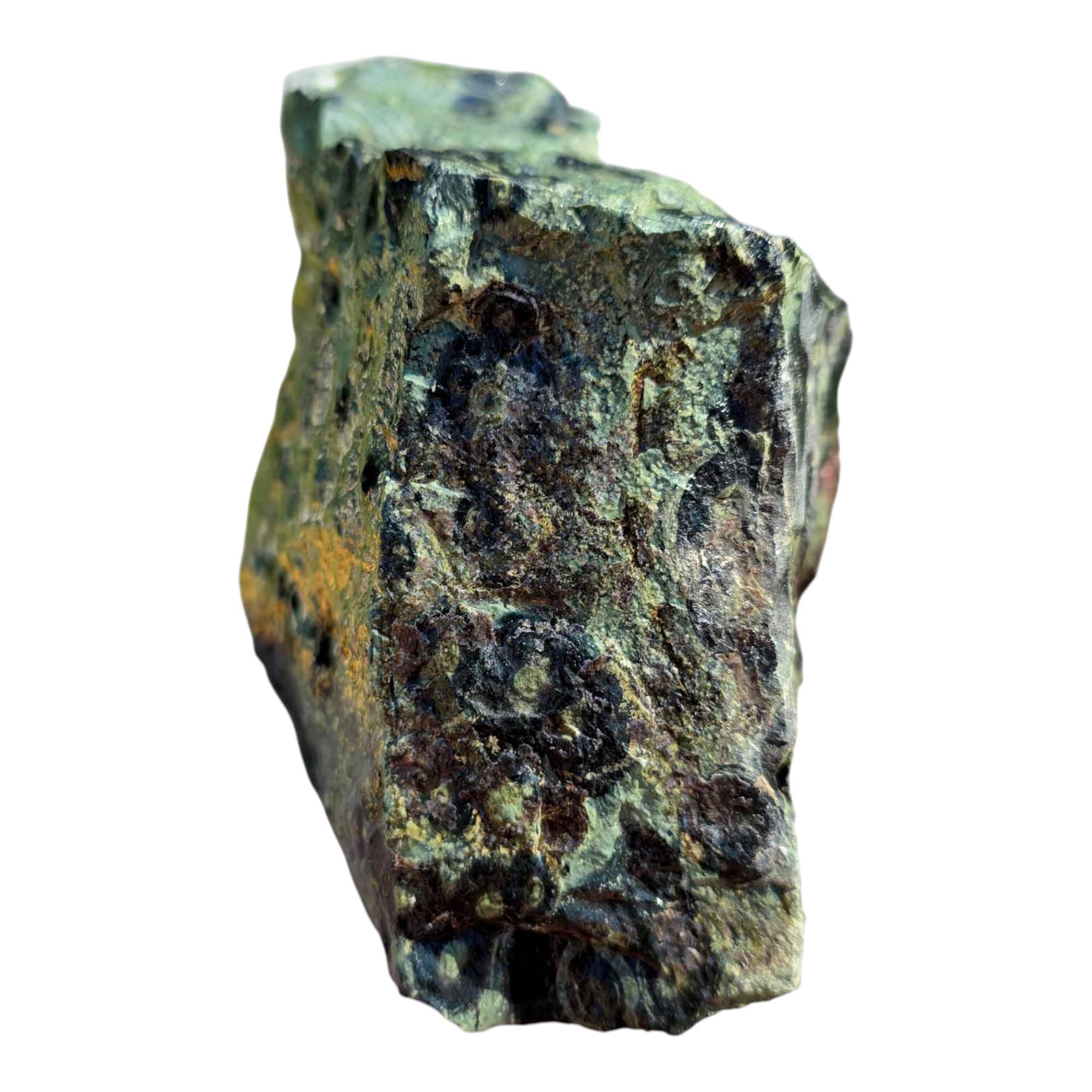 Kambaba Jasper Cutting Rough – Creamy Green Eye Patterns – Madagascar Fossil