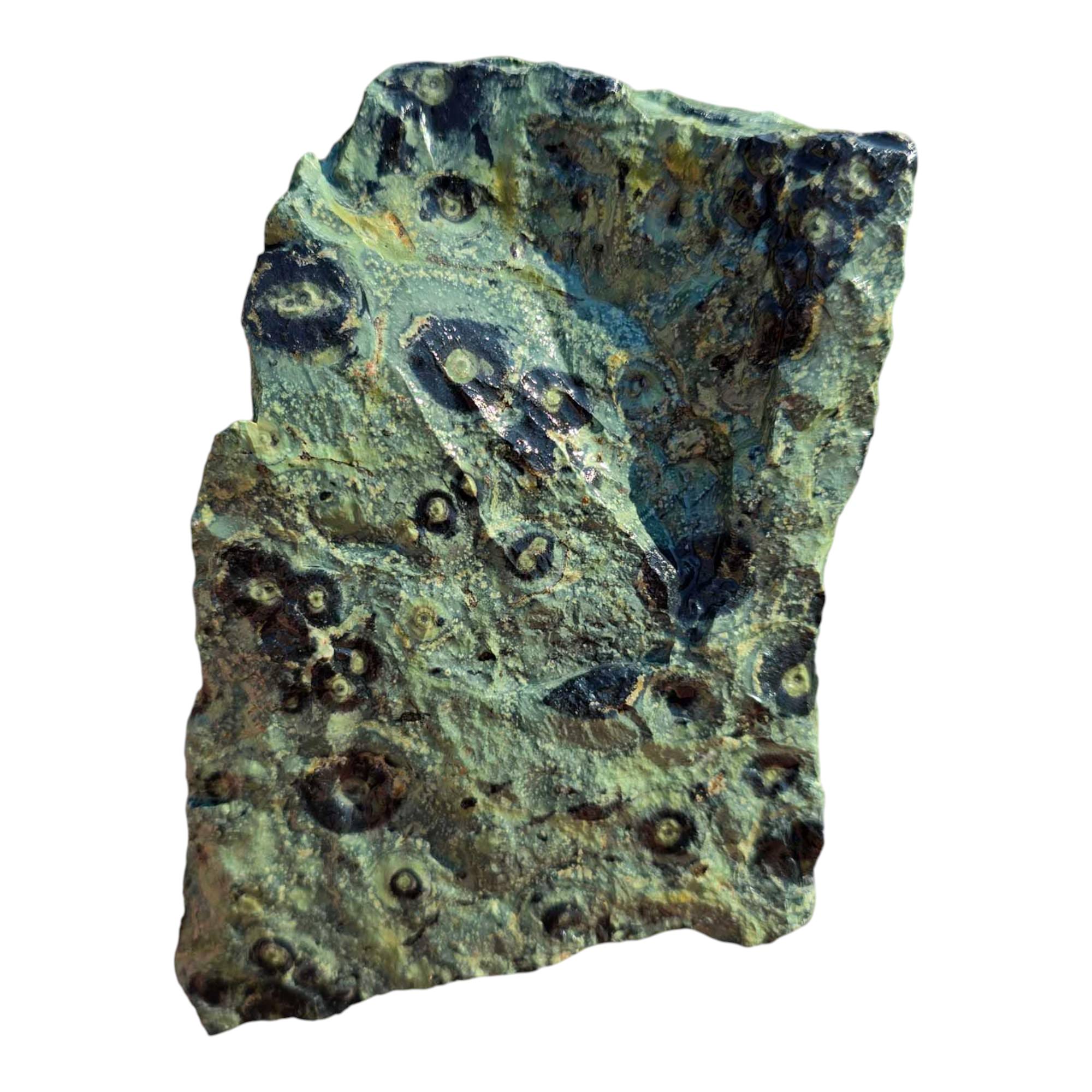 Kambaba Jasper Cutting Rough – Creamy Green Eye Patterns – Madagascar Fossil