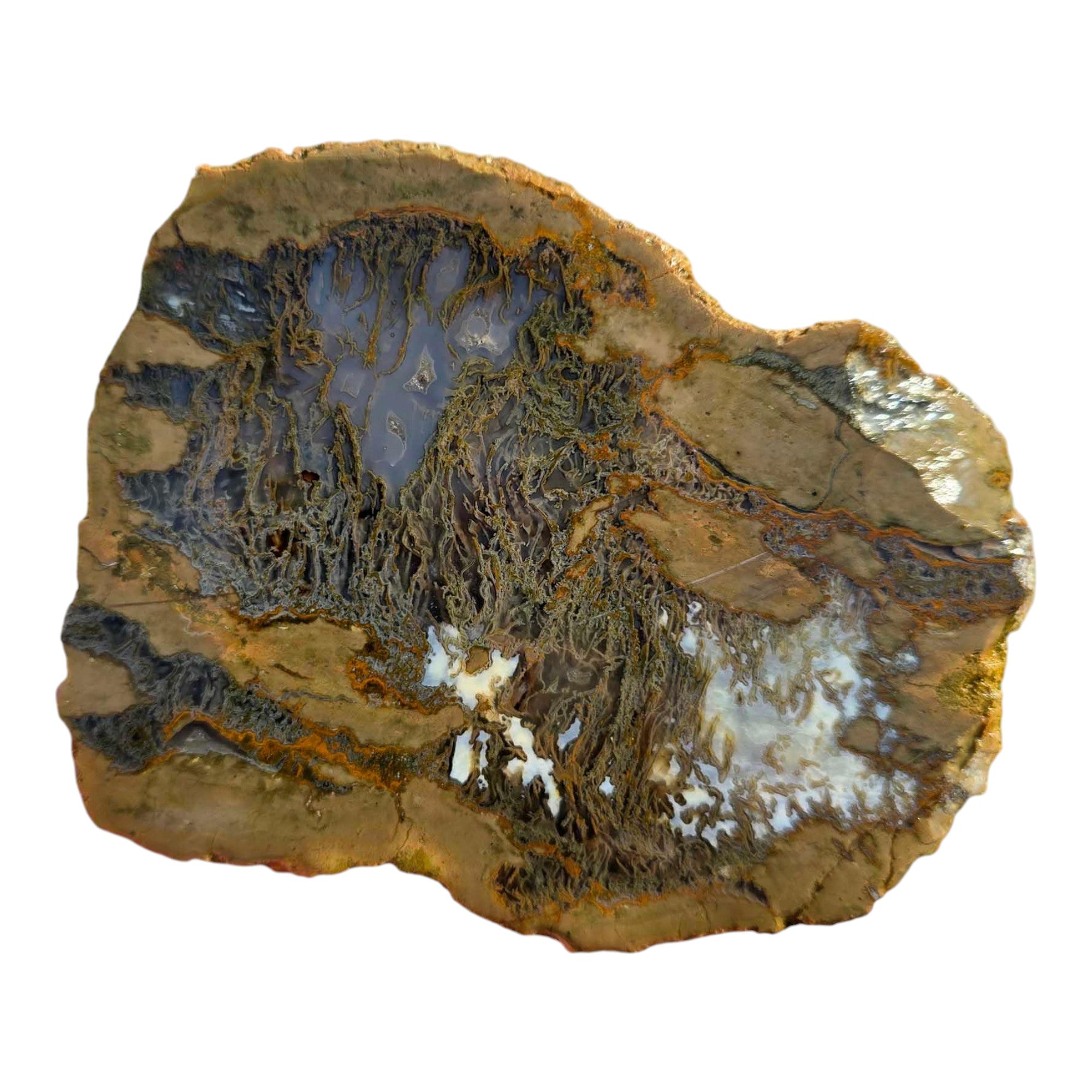 Moss Bed Thunderegg Cut and Proven Chunk Moss and Agate Highlights