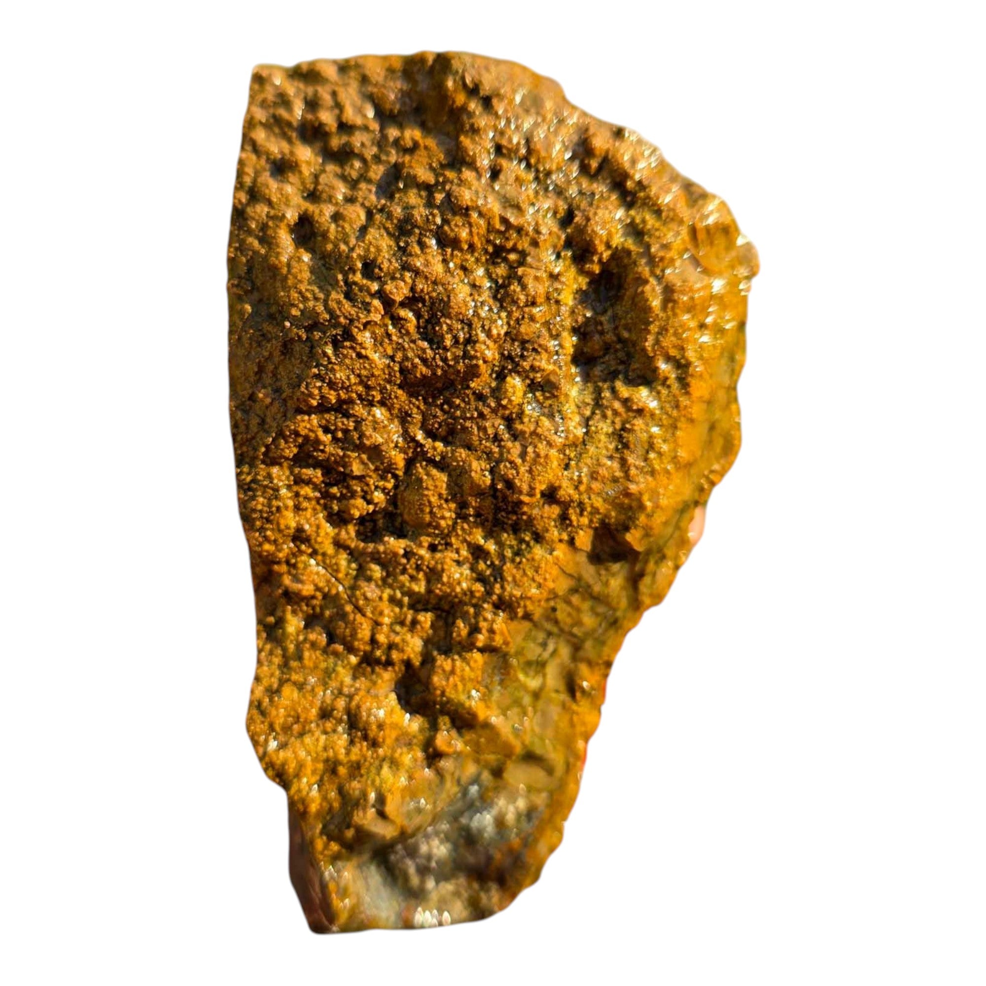 Moss Bed Thunderegg Cut and Proven Chunk Moss and Agate Highlights