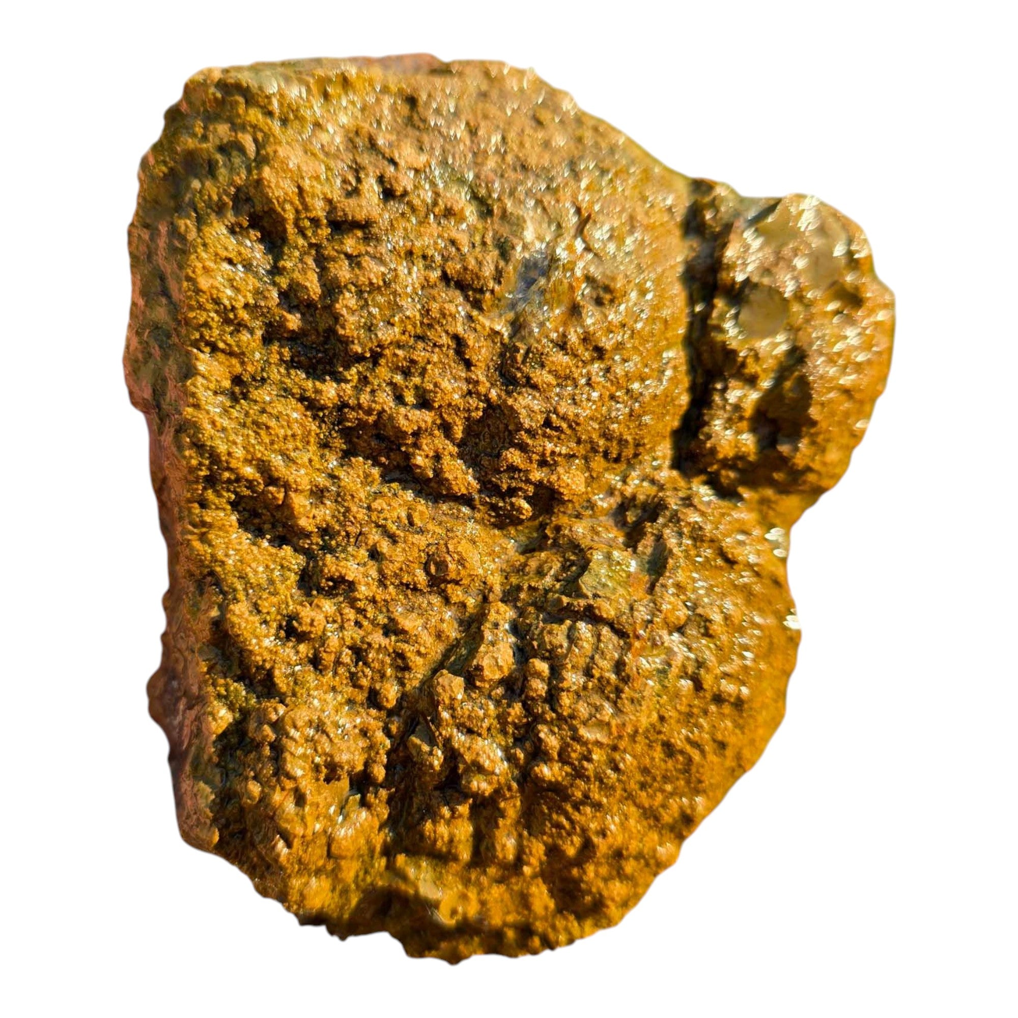 Moss Bed Thunderegg Cut and Proven Chunk Moss and Agate Highlights