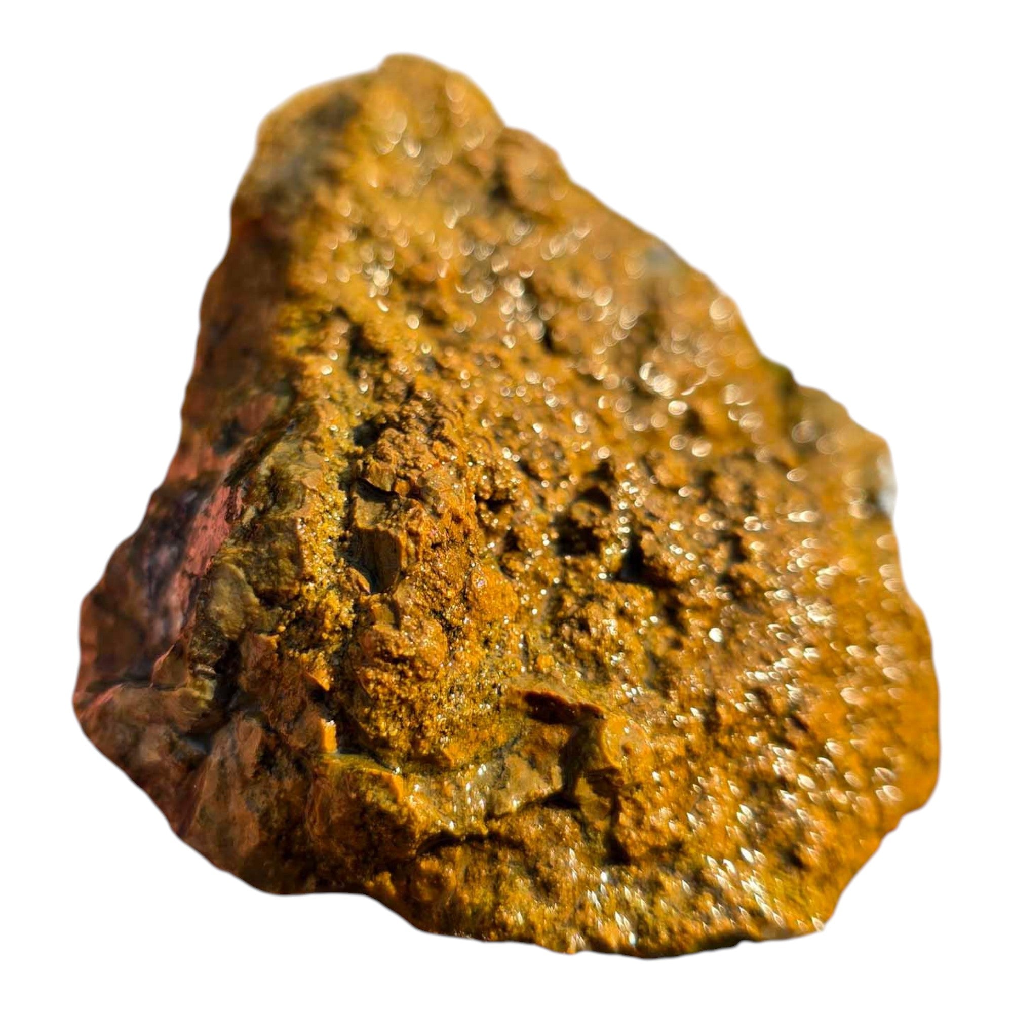 Moss Bed Thunderegg Cut and Proven Chunk Moss and Agate Highlights