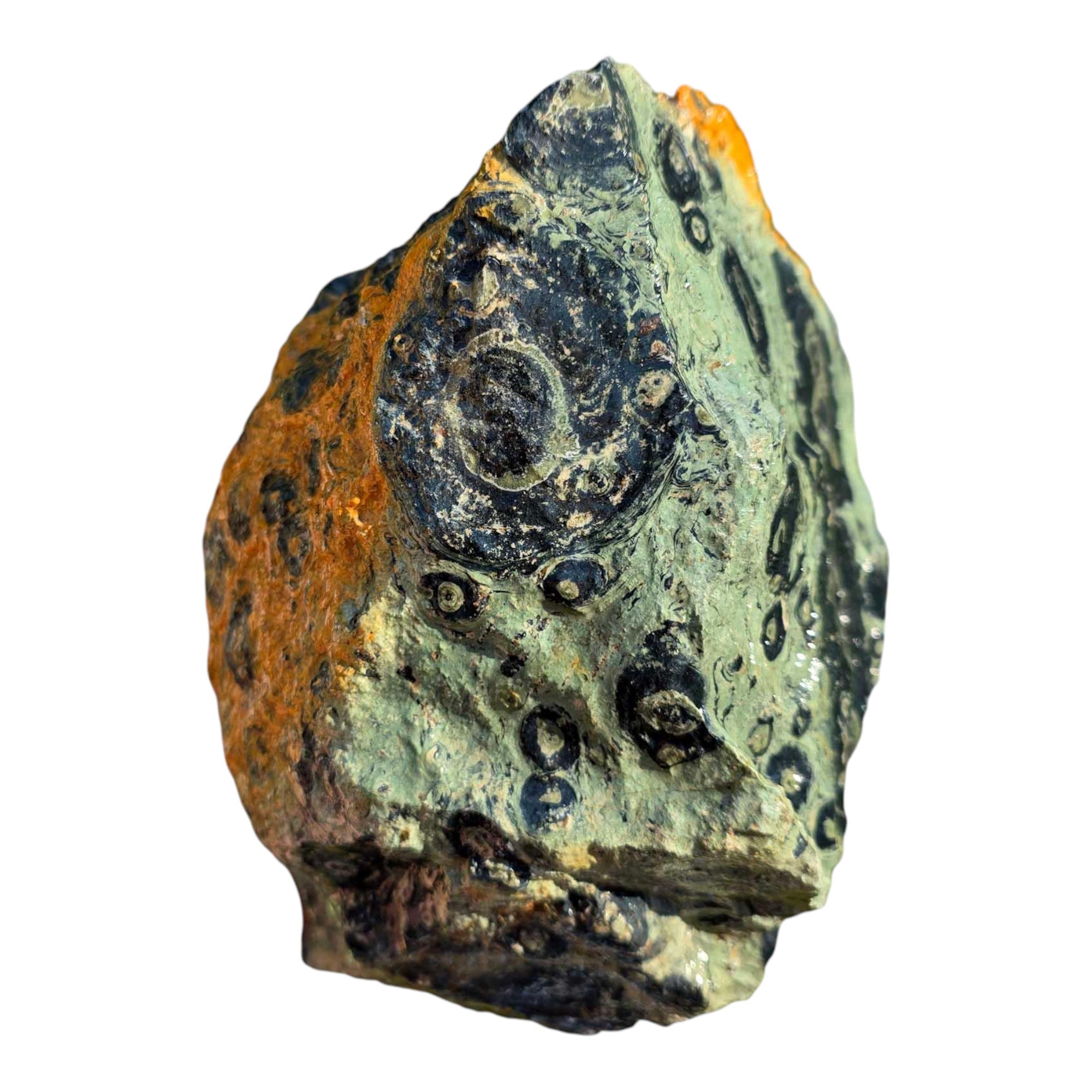 Kambaba Jasper Rough Chunk Large Orbicular Patterns Prime Cutting Material