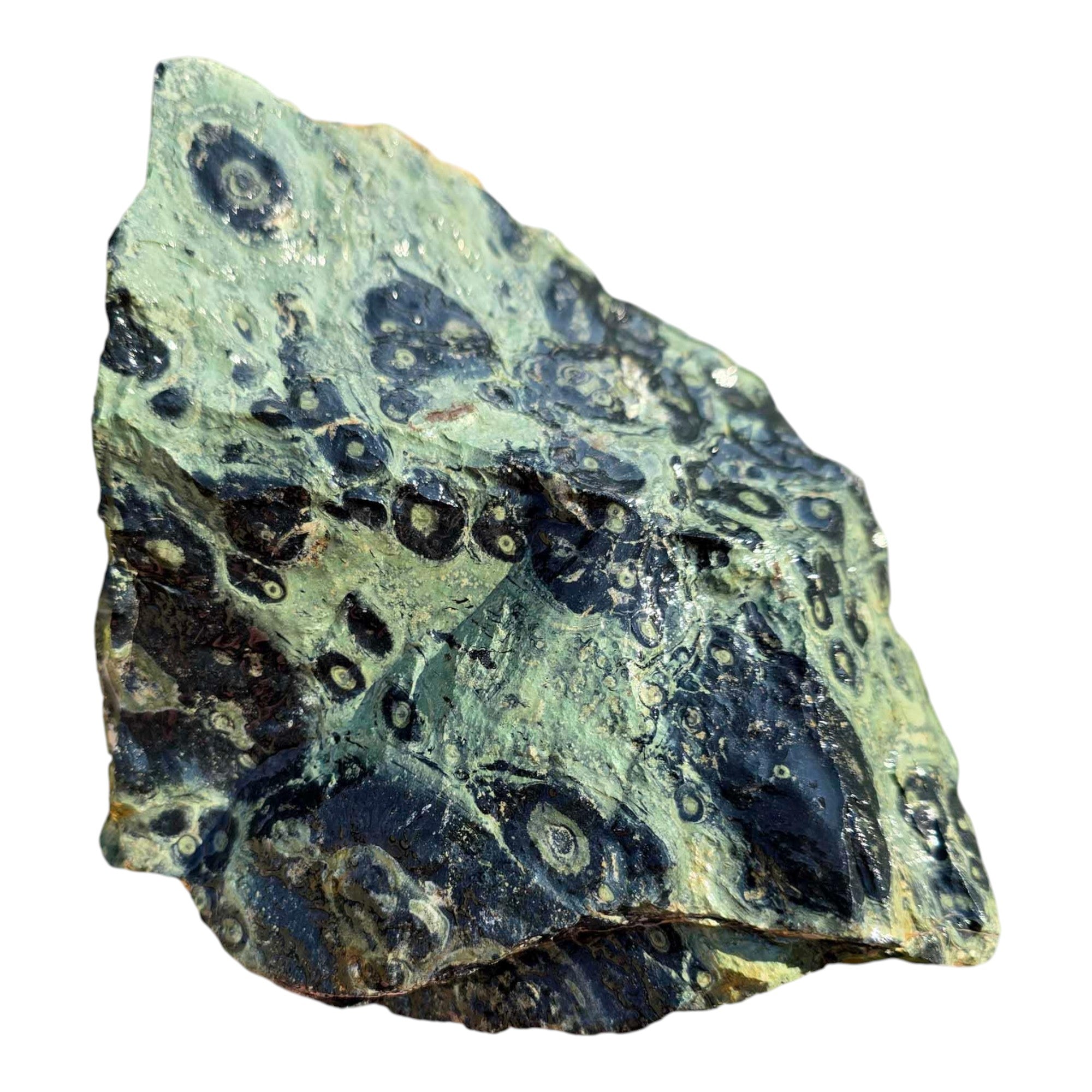 Kambaba Jasper Rough Chunk Large Orbicular Patterns Prime Cutting Material