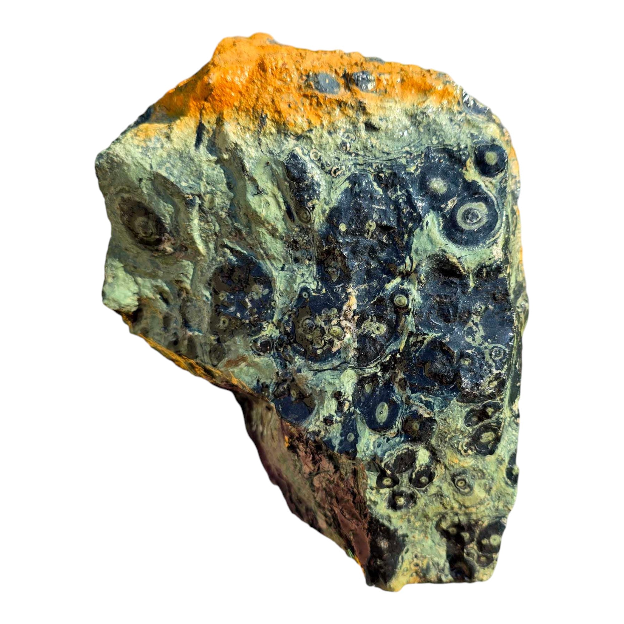 Kambaba Jasper Rough Chunk Large Orbicular Patterns Prime Cutting Material