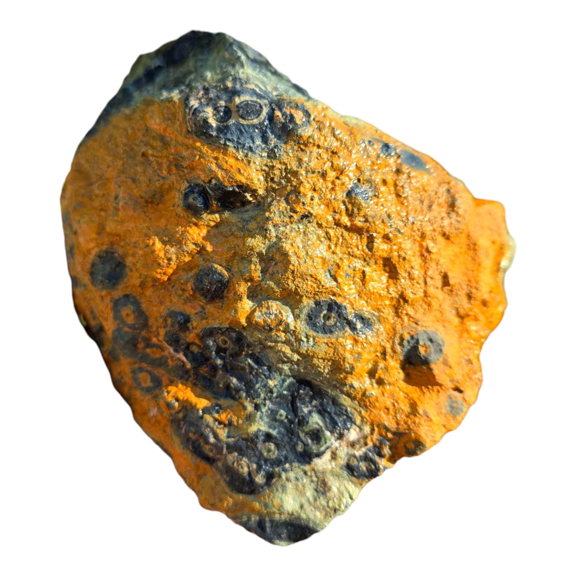 Kambaba Jasper Rough Chunk Large Orbicular Patterns Prime Cutting Material