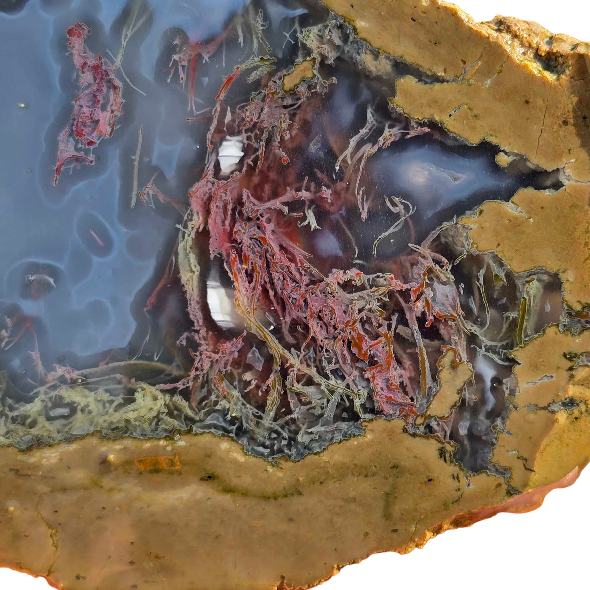 Moss Bed Thunderegg – Cut & Proven with Rare Red and Pink Moss